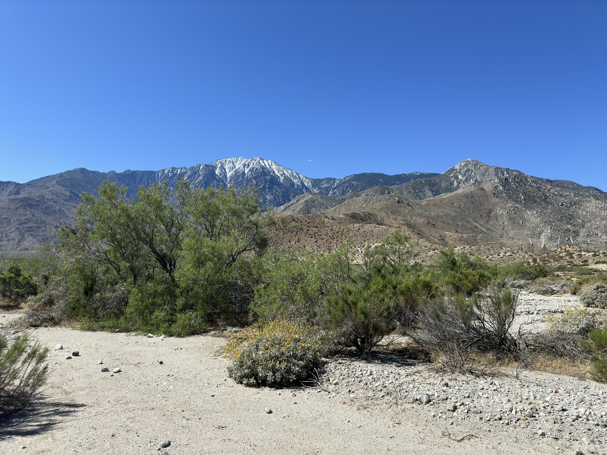 Desert landscape with green bushes, a dirt path, and snow-capped mountains. - Pacific Crest Trail: Snow Creek to Interstate 10