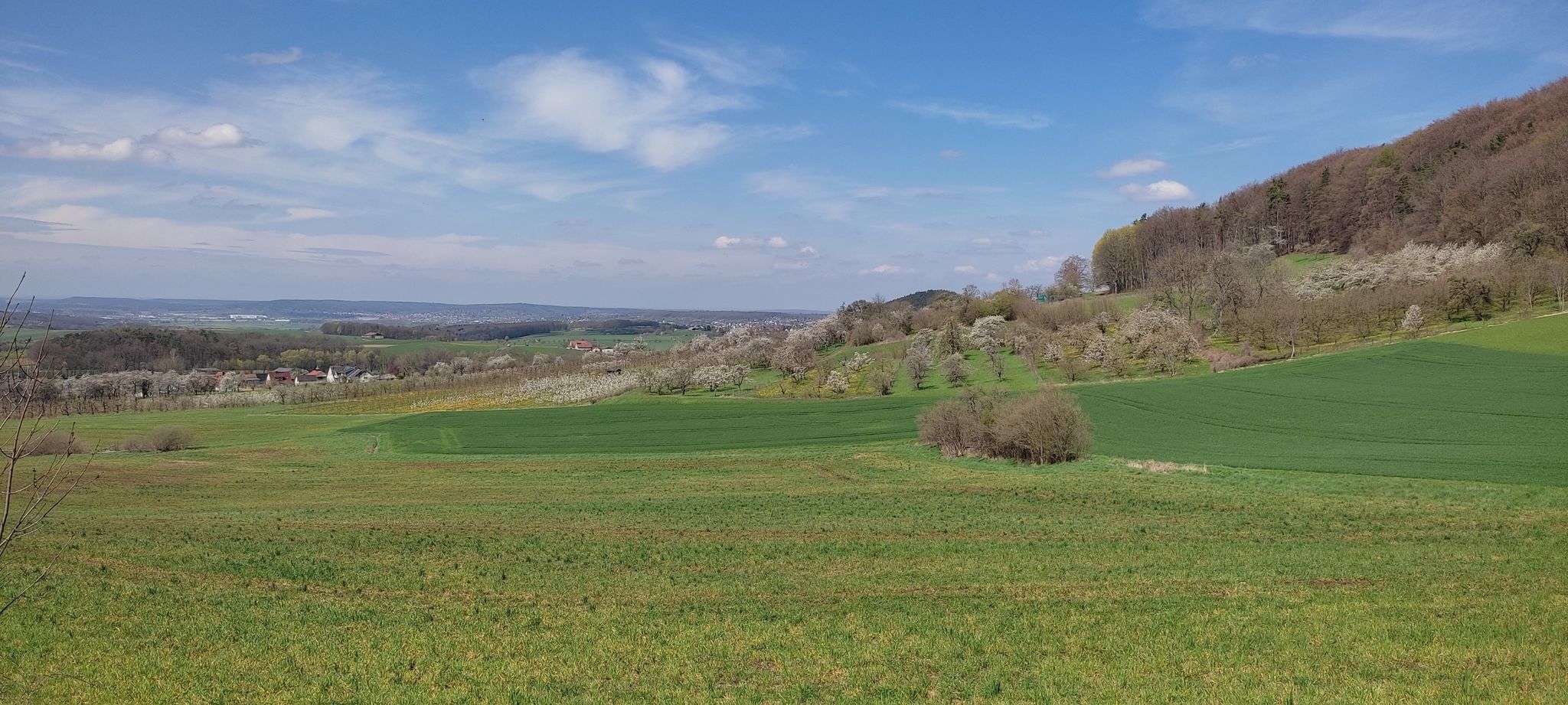 Ausblick bei Mittelehrenbach