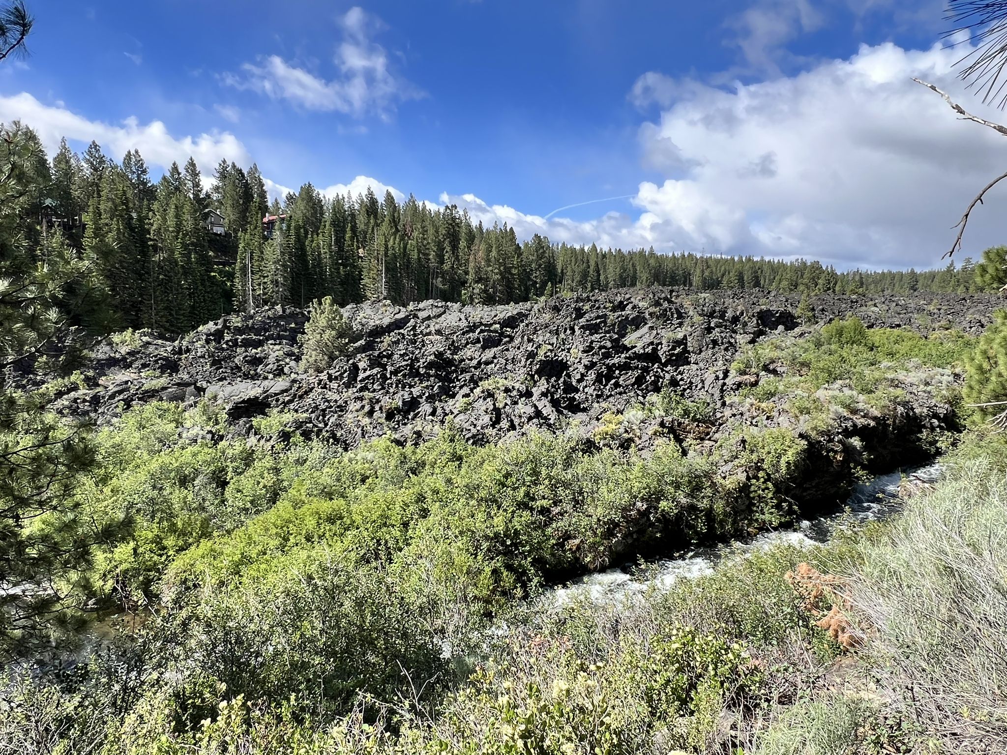 Vast dark rocky landscape with green shrubs and a distant pine forest. - Cascade Lake Welcome Station loop from Meadow Day Use Area