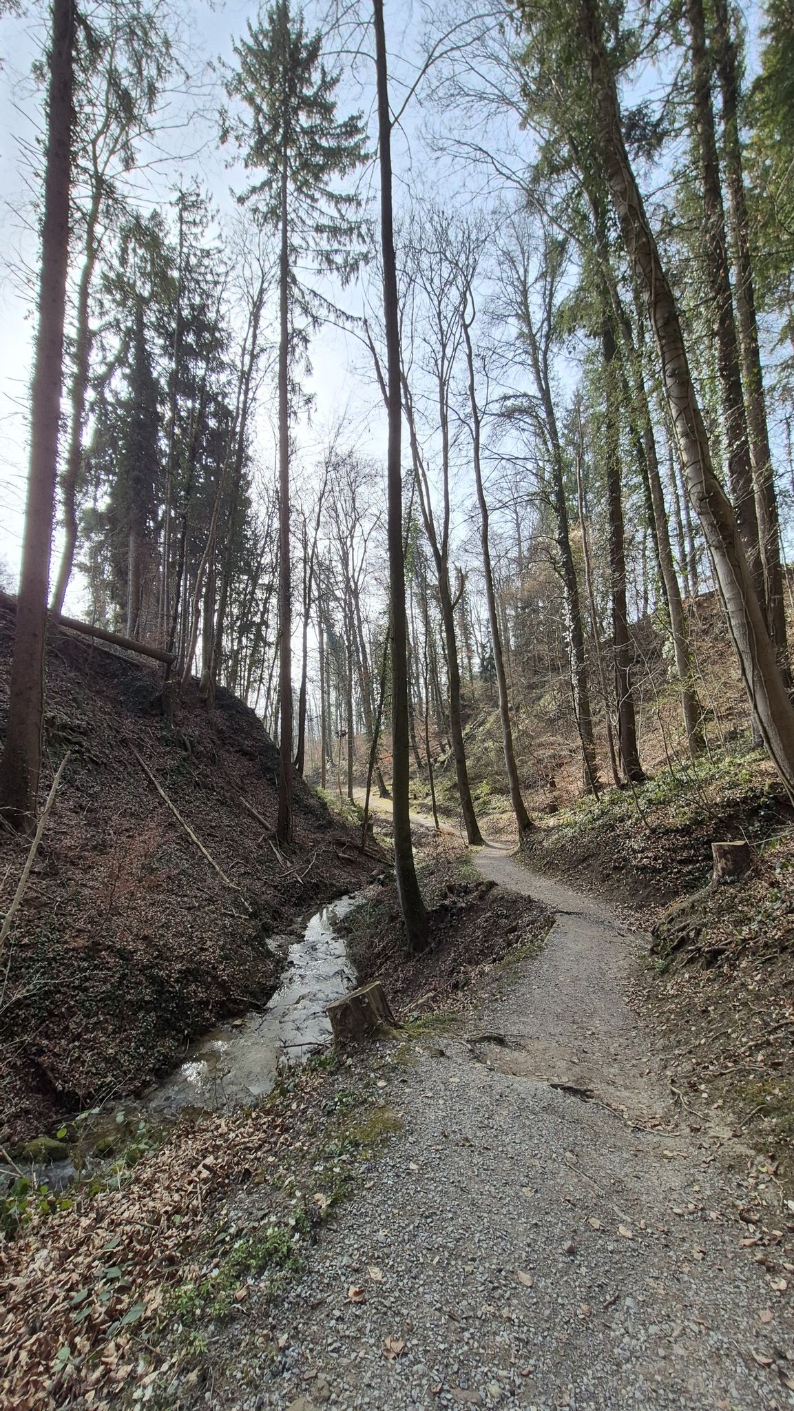 Blick zurück