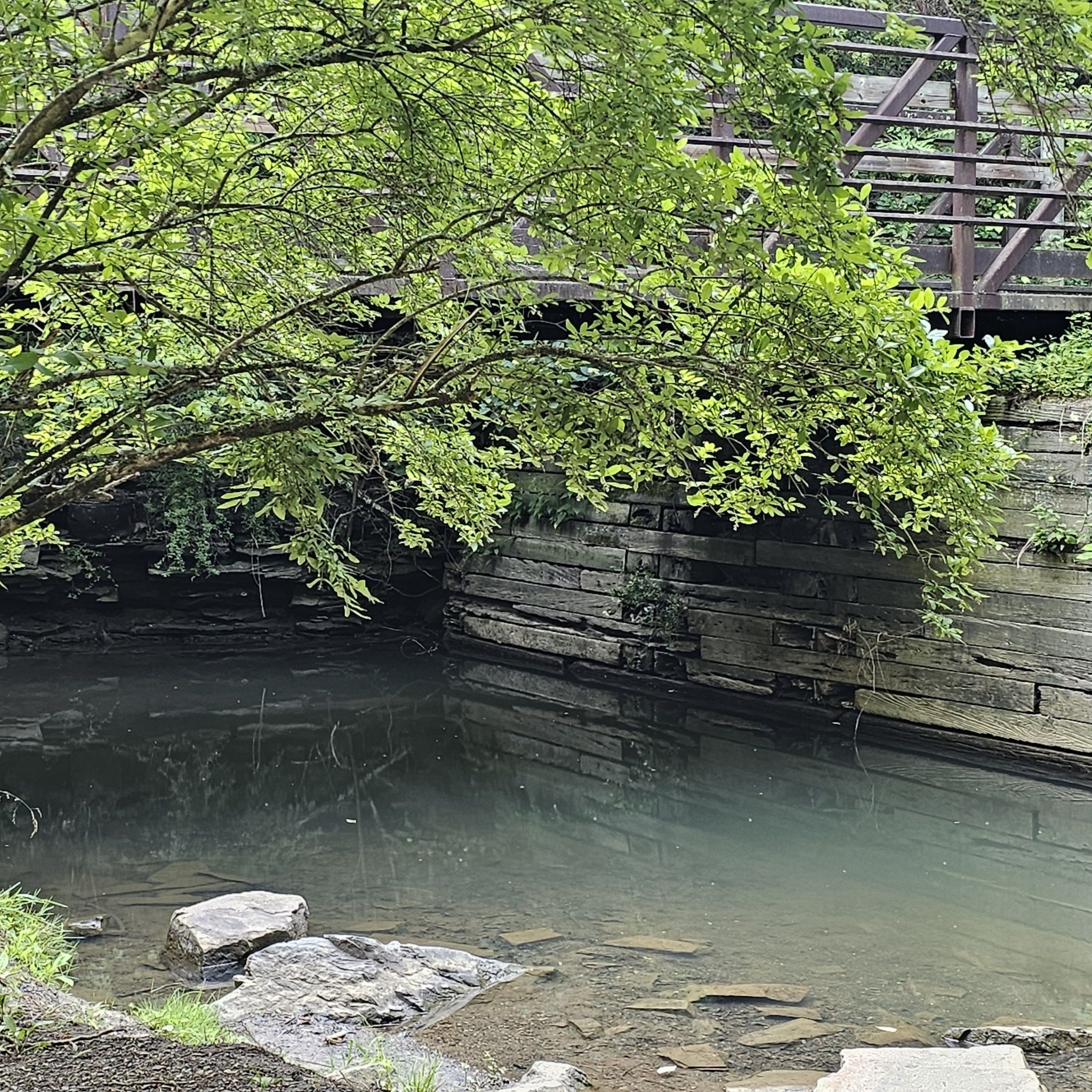 Small stream flowing under a metal bridge, surrounded by green foliage. - Train Bridge – Coal Mining Heritage Park loop from Mid-County Park