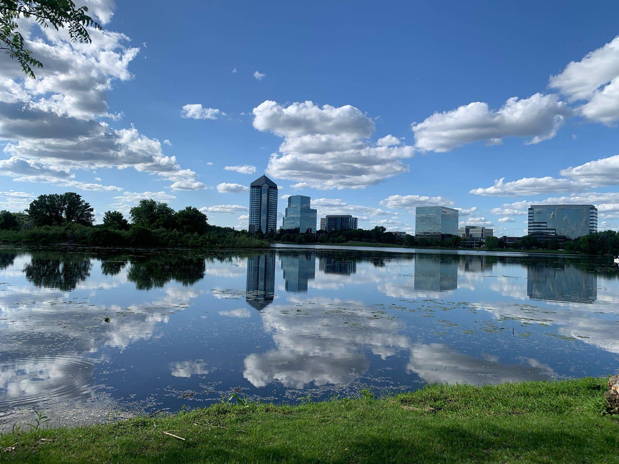 City skyline with tall buildings reflected in a calm lake under blue sky. - Normandale Lake Trail loop from 83 St / 84 St