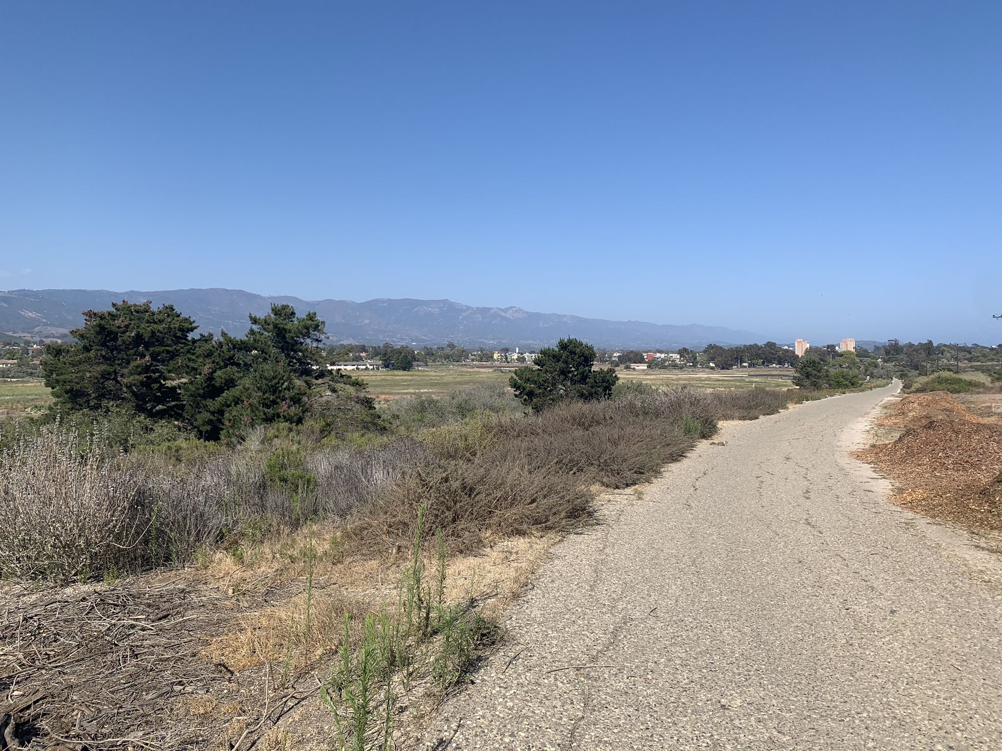 Sunny day on a dirt path through dry brush with distant mountains. - Elwood Forest Park – Obern Trail loop from North Campus Open Space