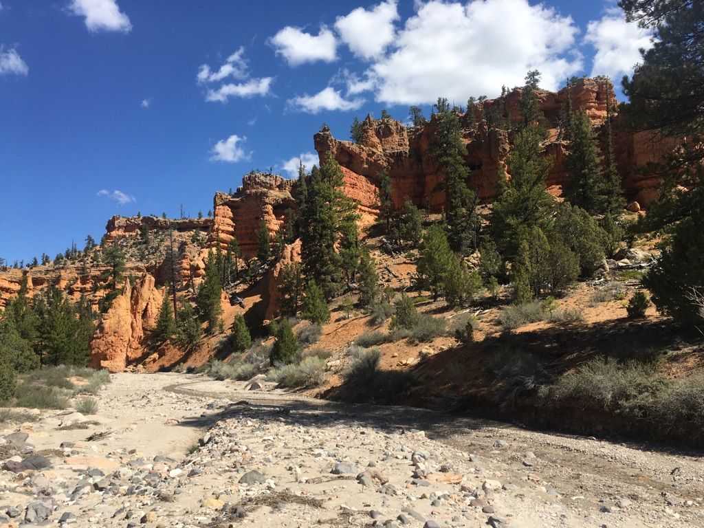 Dry streambed winds through a canyon with red cliffs and green trees. - Casto Canyon Trail