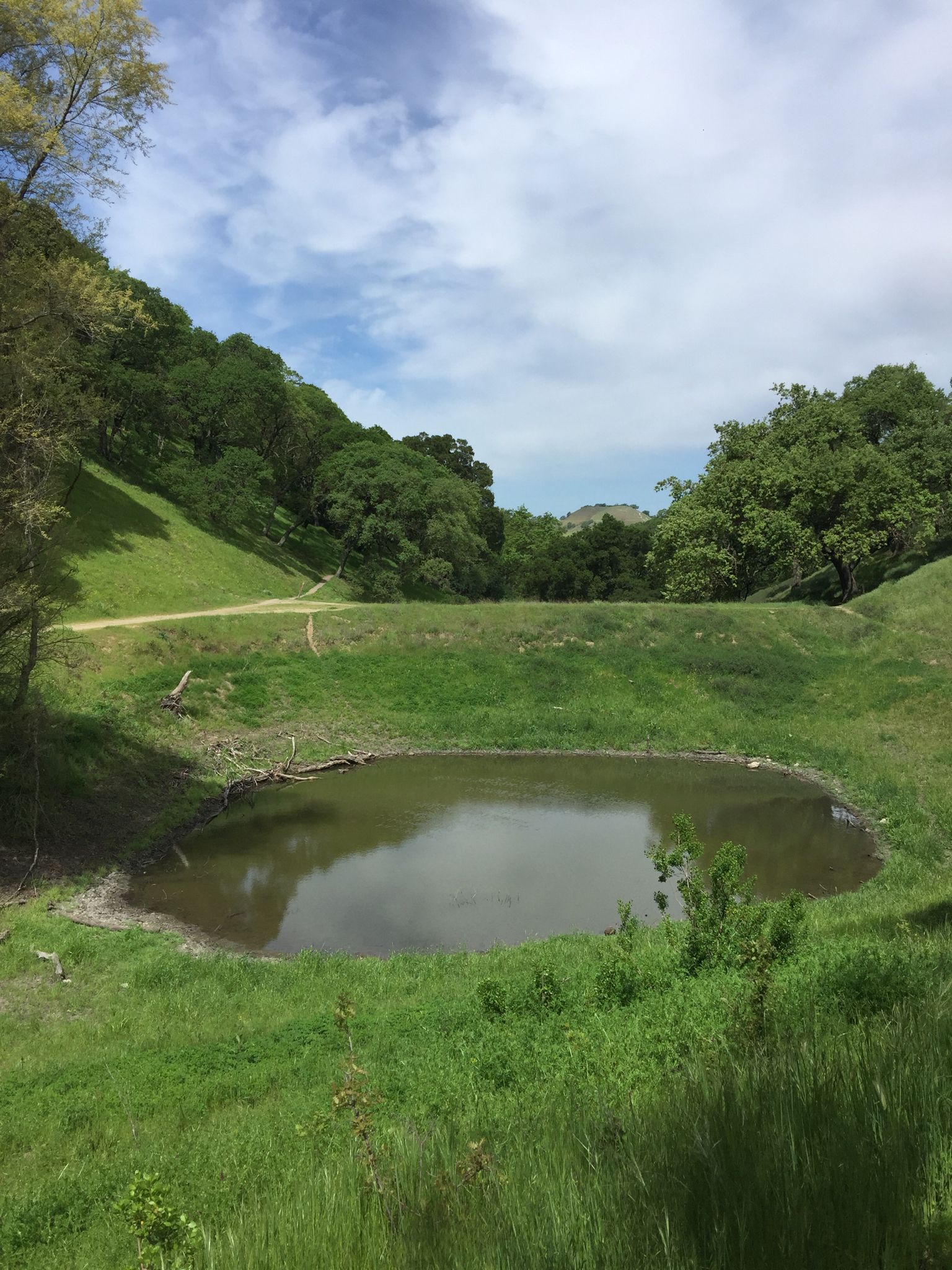 Small pond surrounded by lush green hills and trees. - Diablo Foothills Regional Park loop