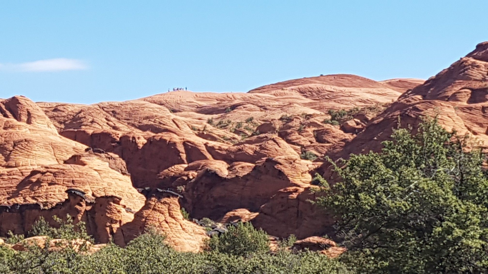 Distant hikers on a red rock ridge amidst green desert vegetation. - West Canyon Road loop from Snow Canyon Visitor Center