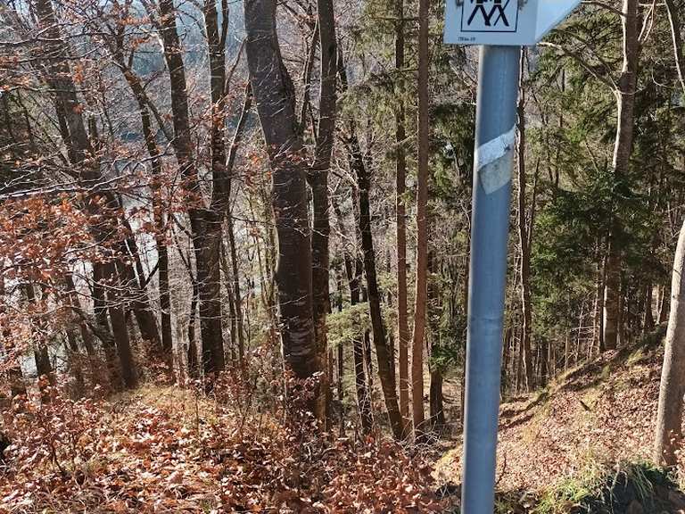 Oberbinnwang Iller Schleife Wanderung Komoot