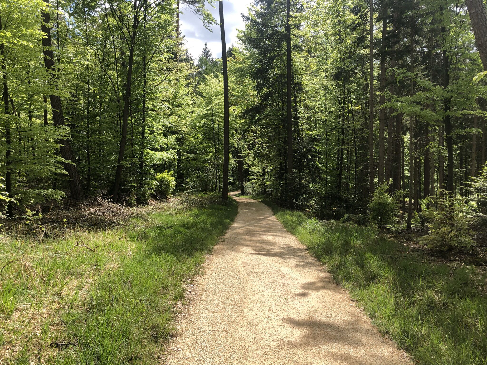 Eine beliebte Laufstrecke bildet das Ende unserer schönen Tour