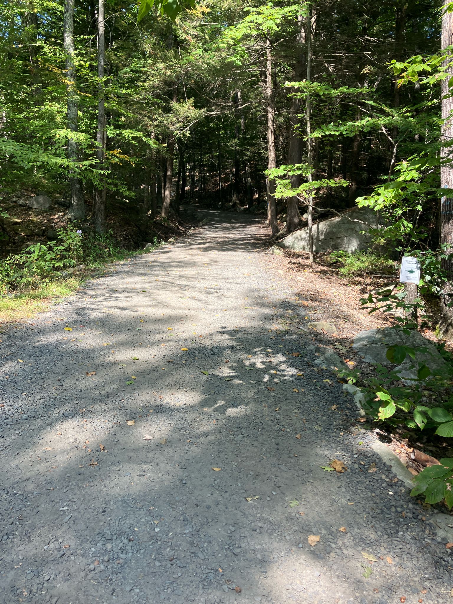 Shaded gravel path leading into a dense, sun-dappled forest. - North Straightback Mountain via Brook and Belknap Range Trails