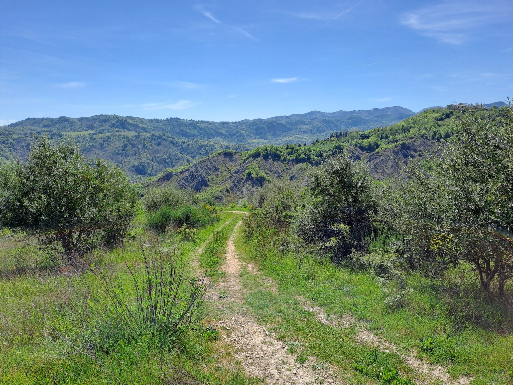 via umbria e gli ulivi