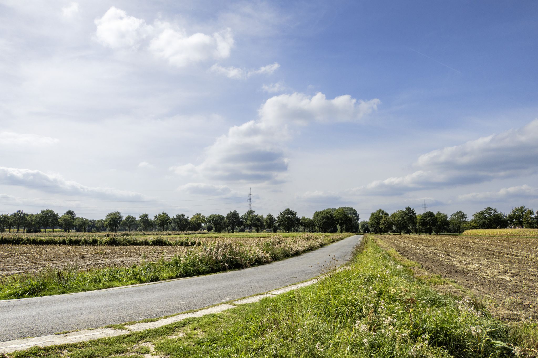 Tussen de velden bij Ertvelde