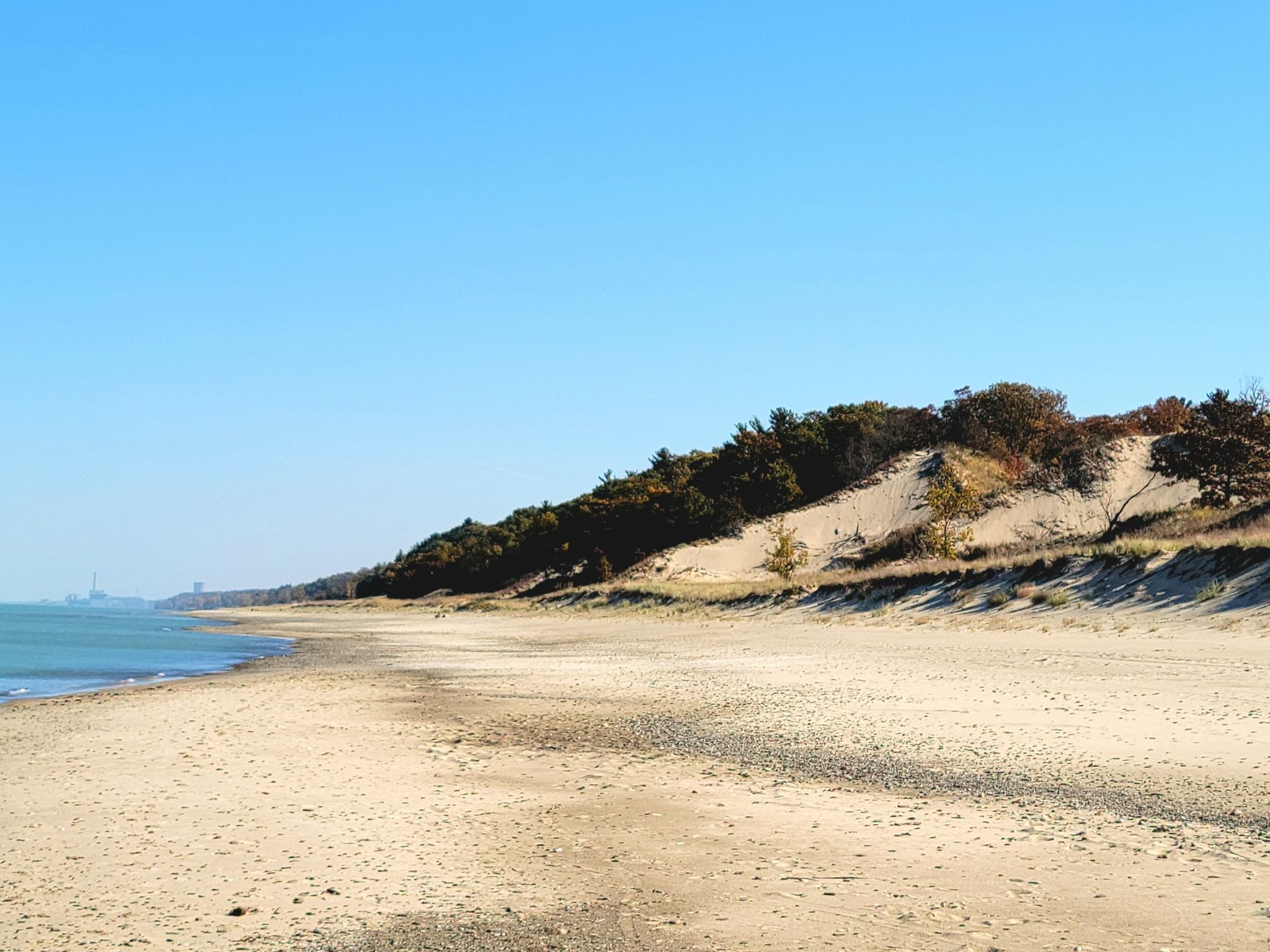 Wide sandy beach with calm blue water and a forested dune under clear sky. - Trail 10