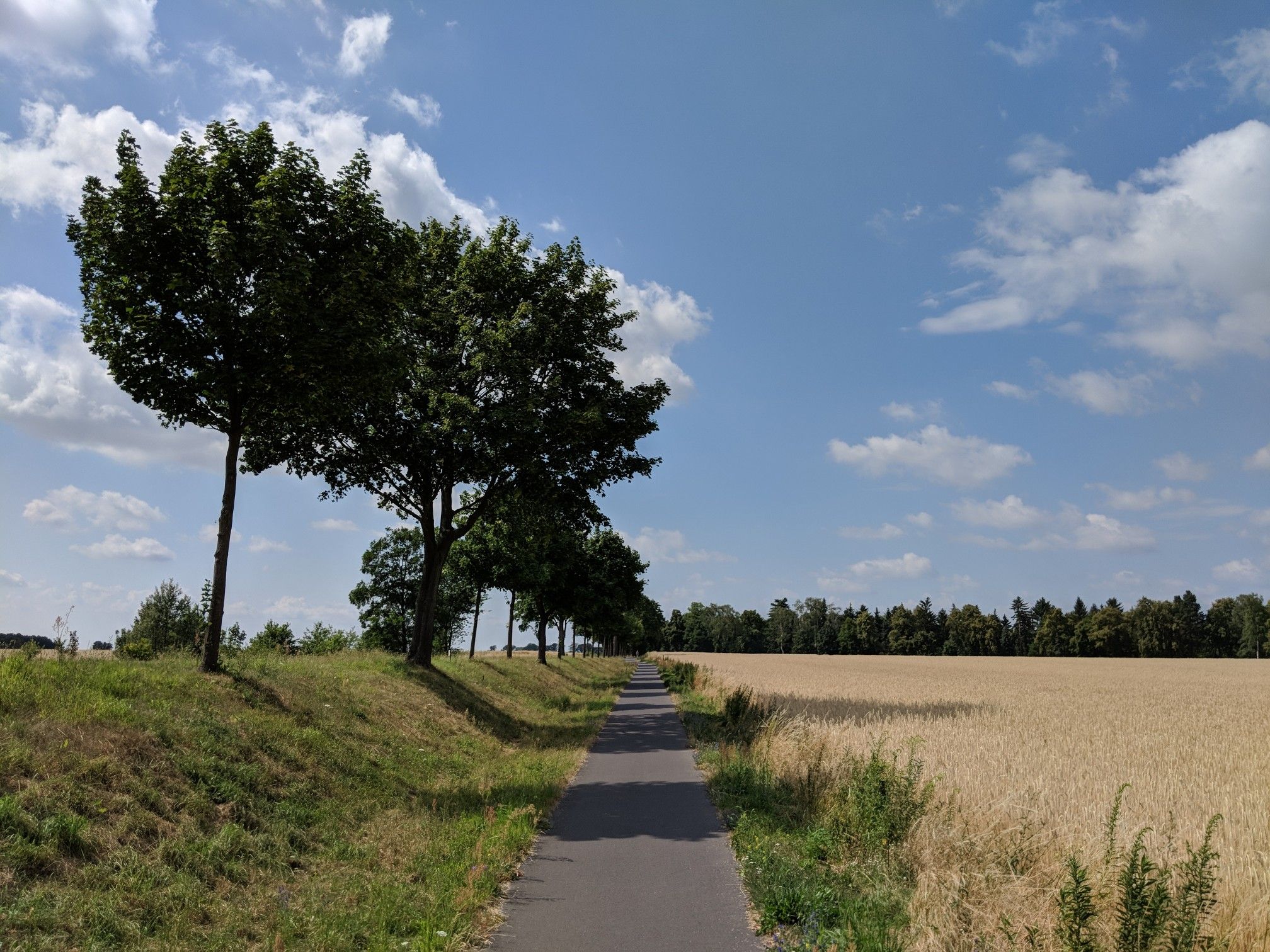 Verbindung zwischen Zeuthen und Schulzendorf