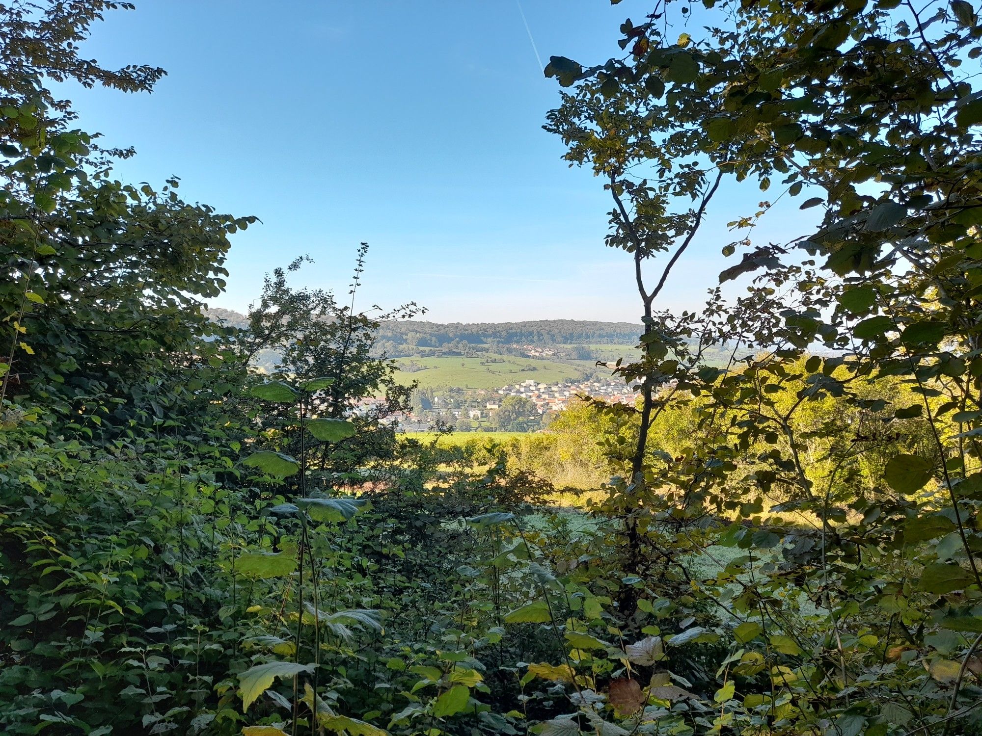 Vue sur Gorcy