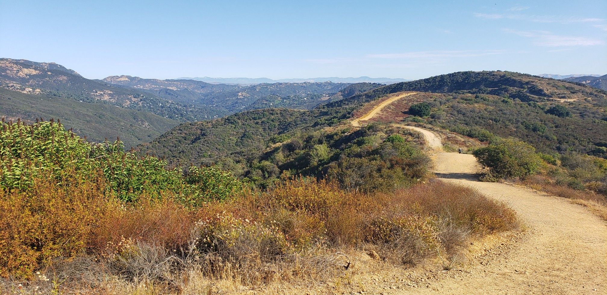 A dirt trail winds through sunlit, brush-covered hills under a clear sky. - The Hub (Topanga State Park) – Eagle Rock loop from Red Rock Canyon Park