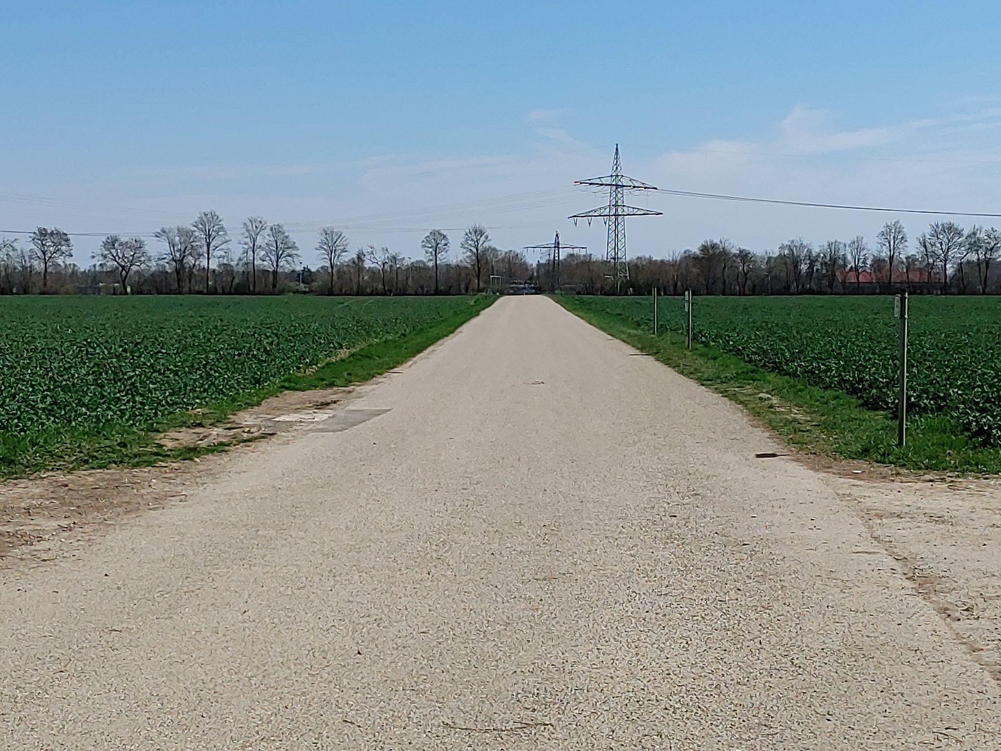 Blick ostwärts / voraus