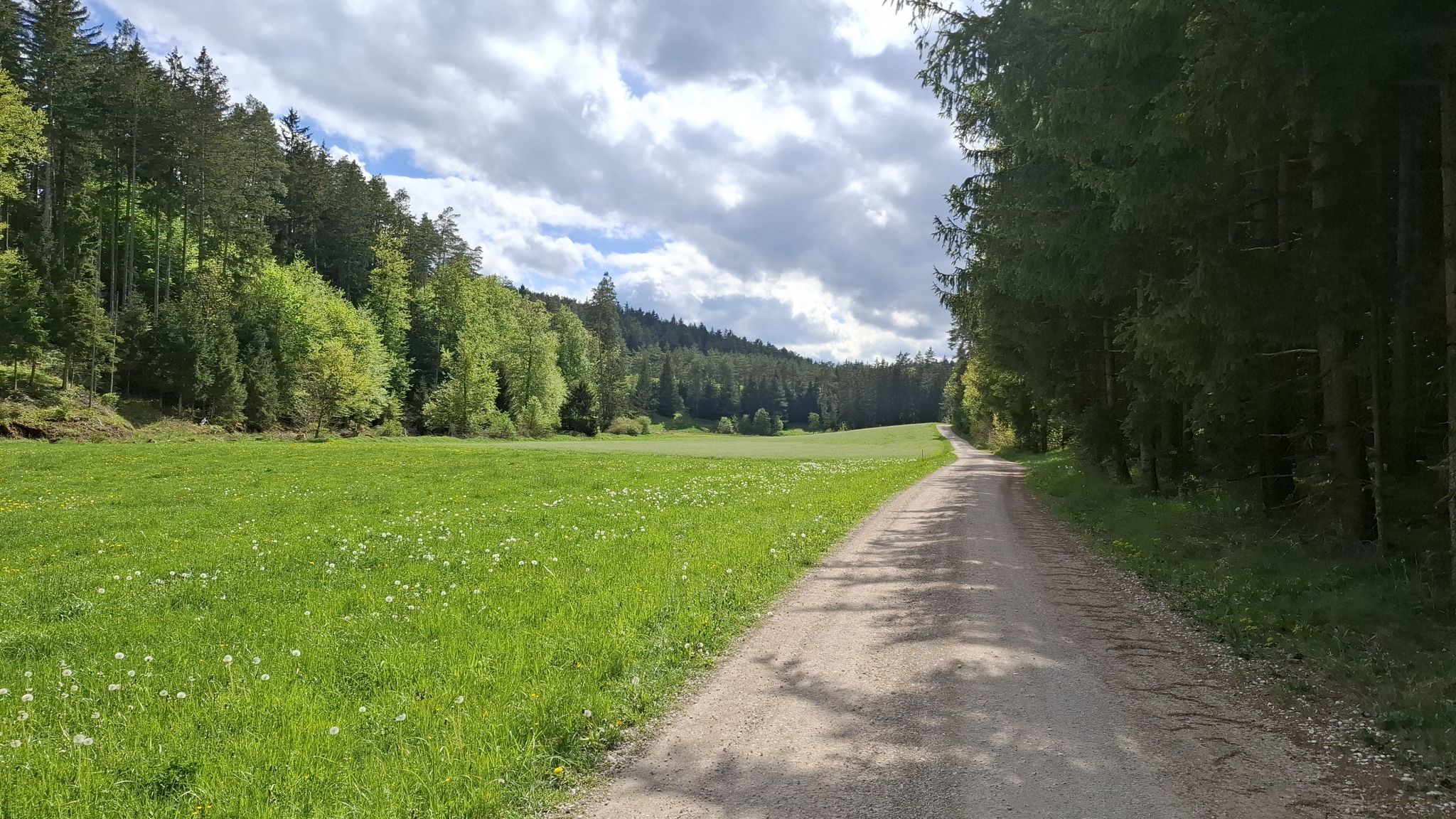 Durch das malerische Köferinger Tal