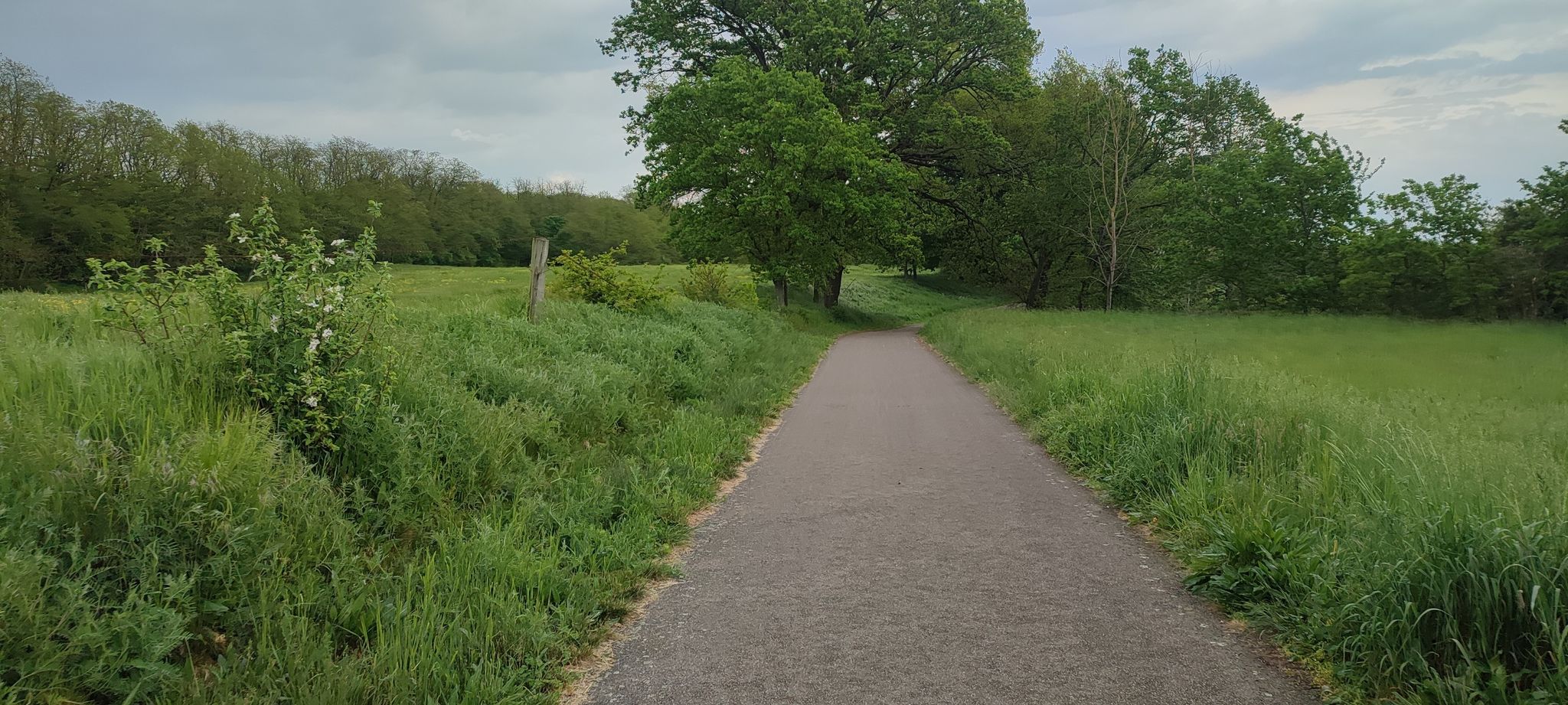 Radweg