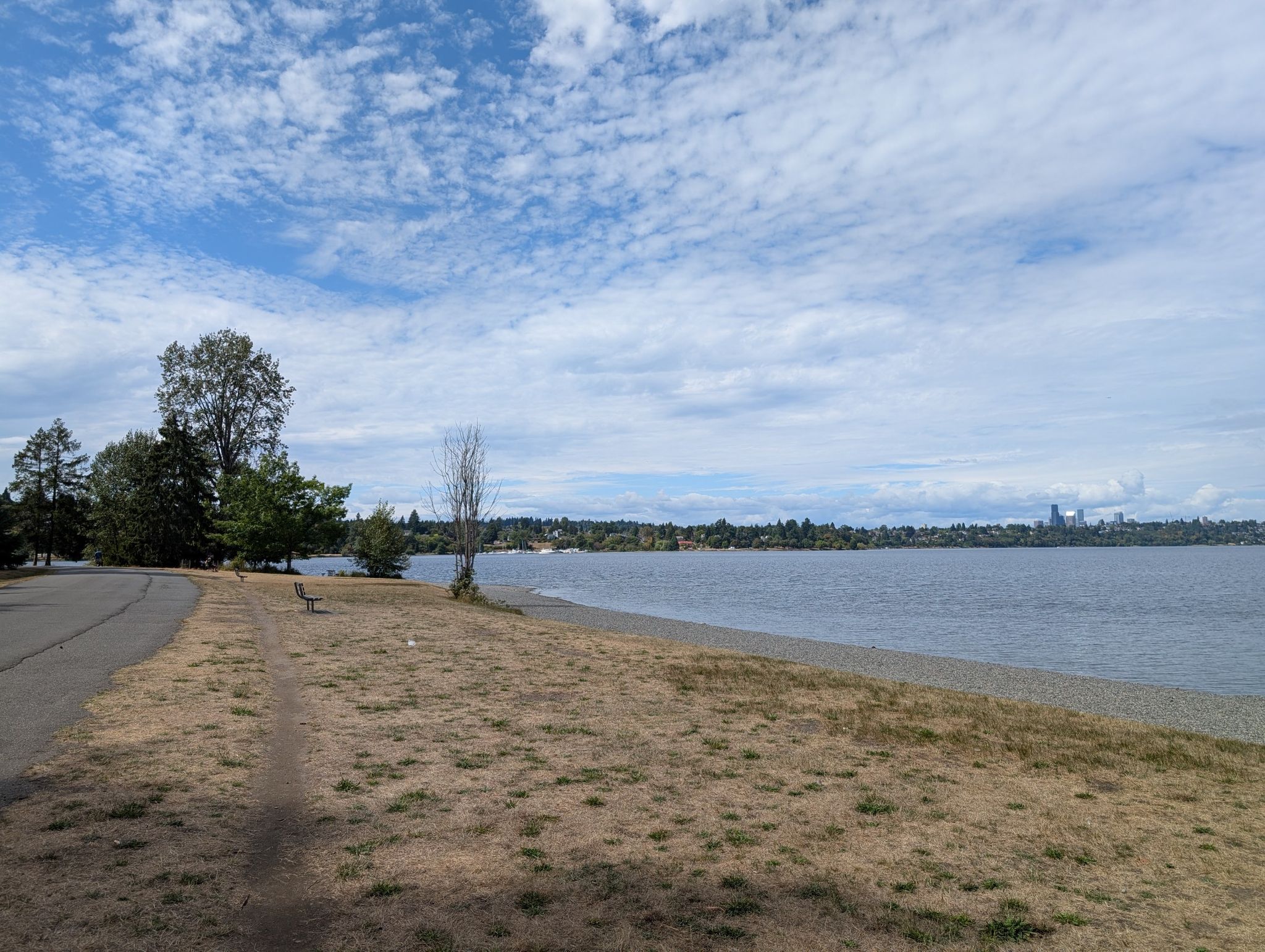 A lake shoreline with dry grass, trees, and a cloudy sky. - Seward Park Loop Trail