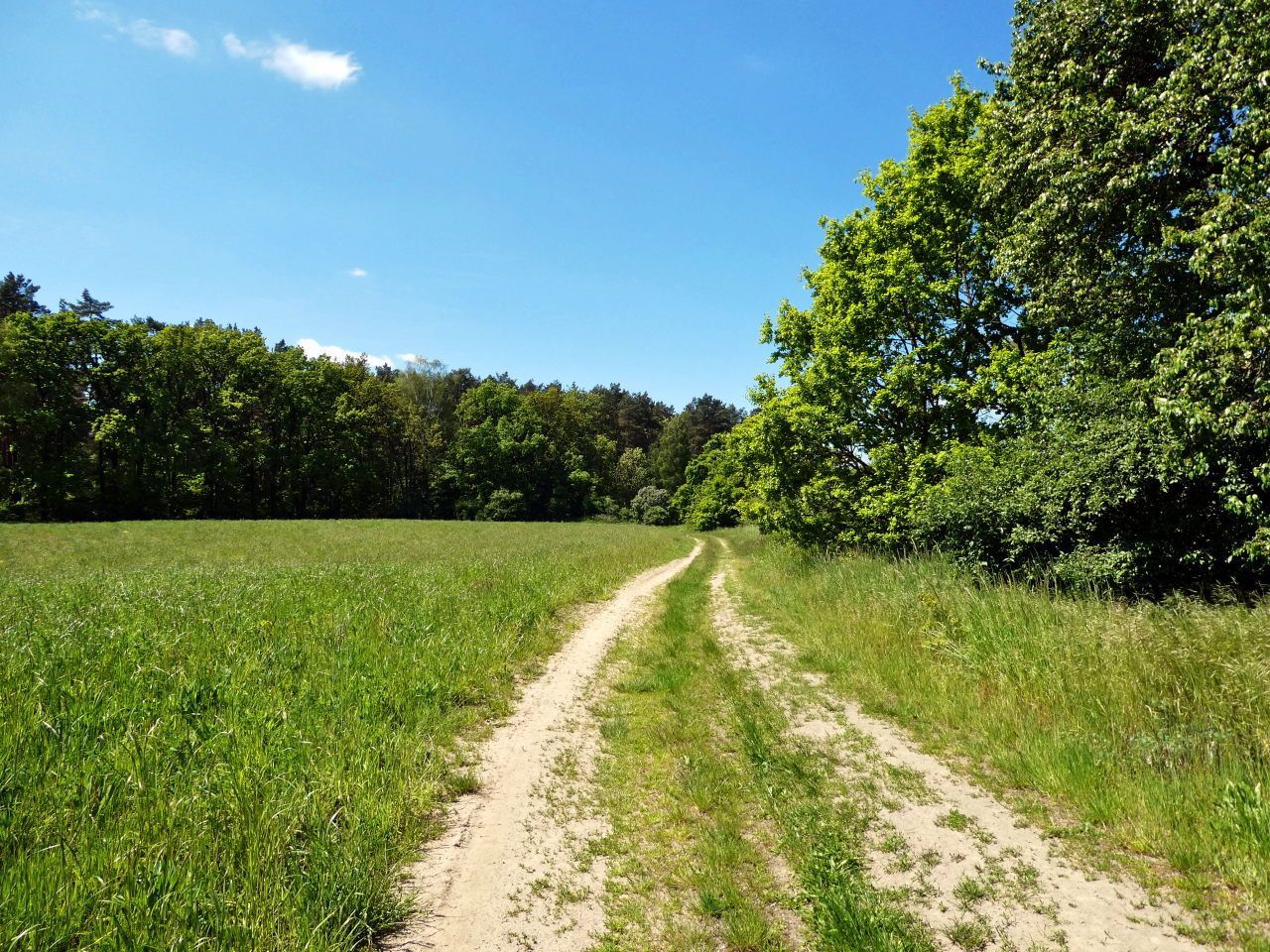 bei Ringenwalde