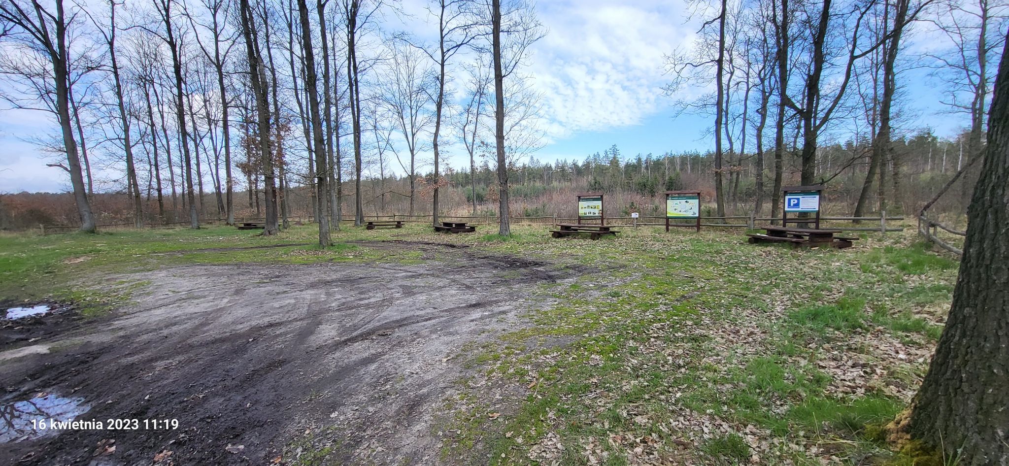 parking leśny