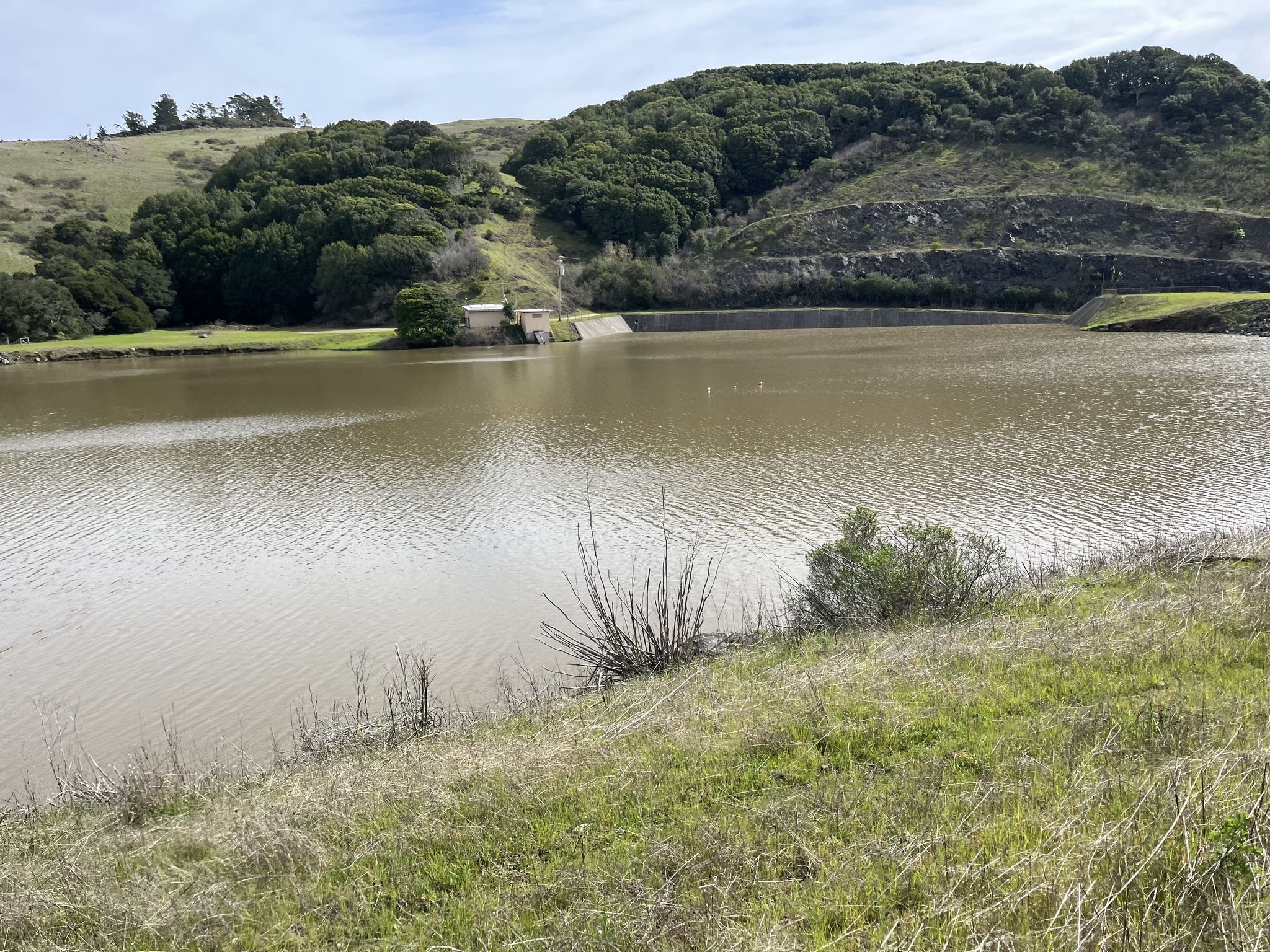 A calm lake surrounded by green and wooded hills under a bright sky. - Point Reyes Station loop via Marin Coastal Bike Route