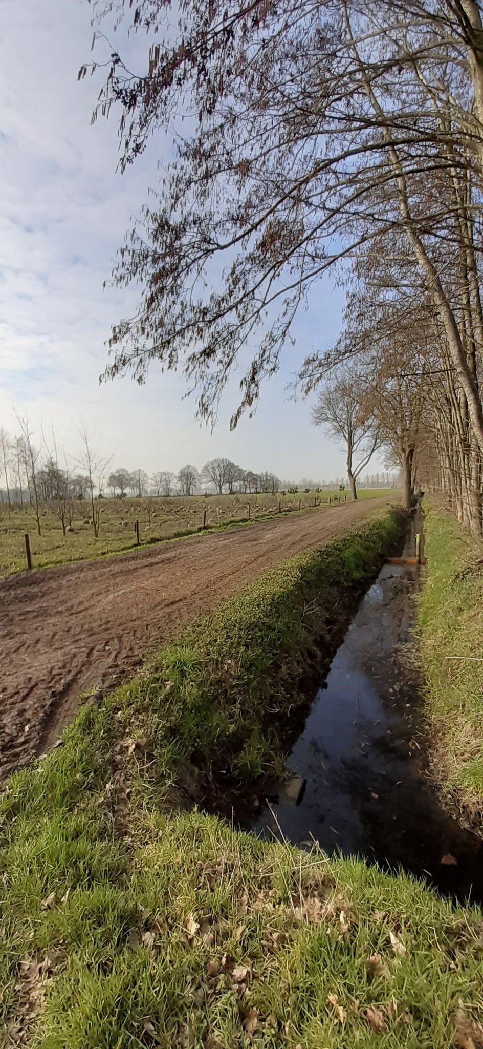 via Diessen richting Esbeek langs de visvijver