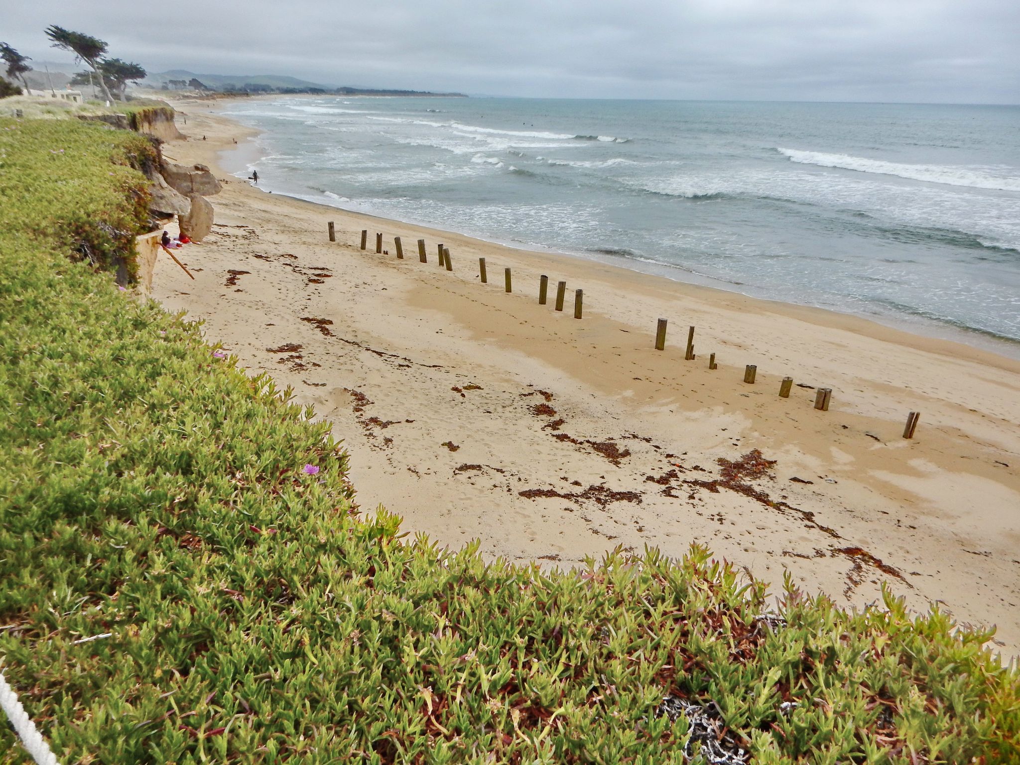 Sandy beach with wooden posts, ocean waves, and green cliff under cloudy sky. - Miramar Beach – Pacific Coast Bike Route loop from Half Moon Bay State Beach