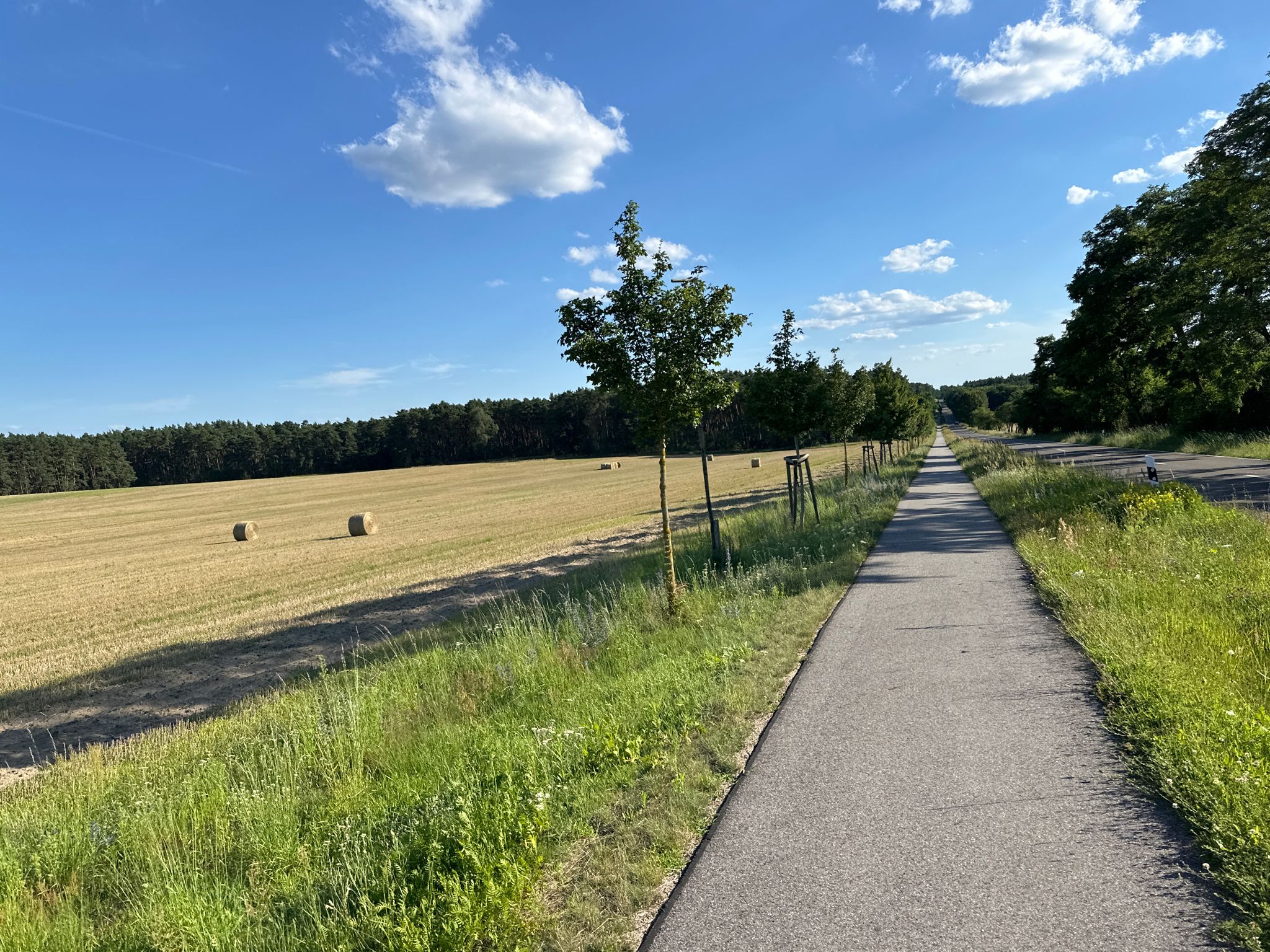 Radweg an der Landstraße Fünfeichen - Kieselwitz