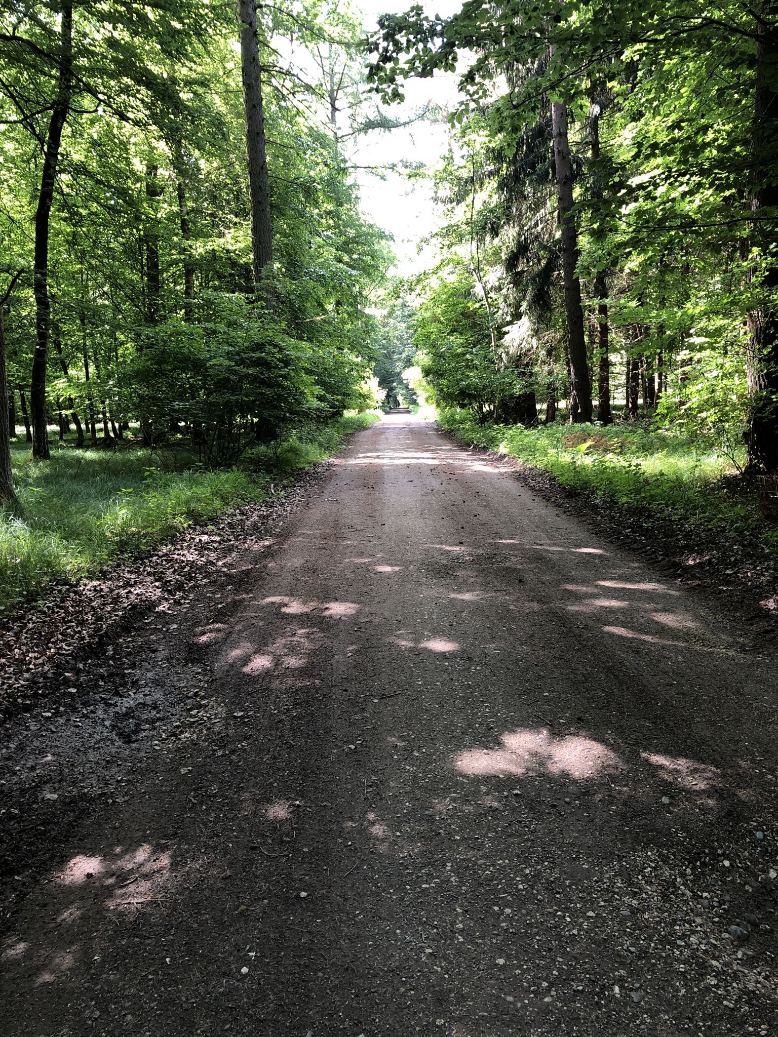 Eine schöne Wegstrecke Richtung Schneckenhofen