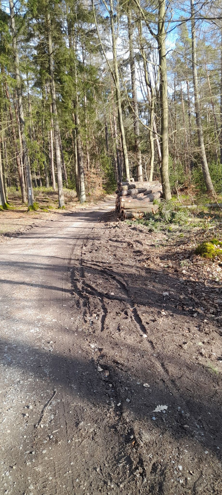 Weg zum Roten Bild