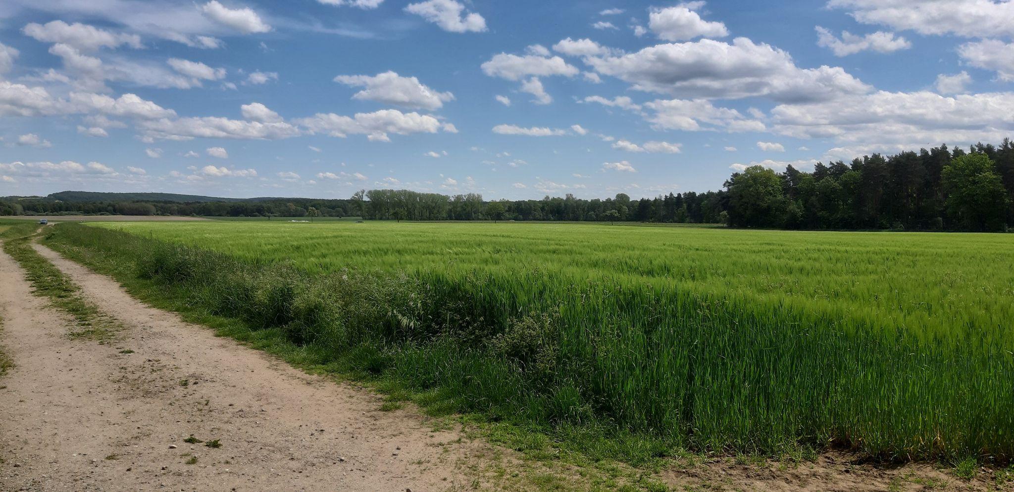 Ein Bett im Kornfeld...