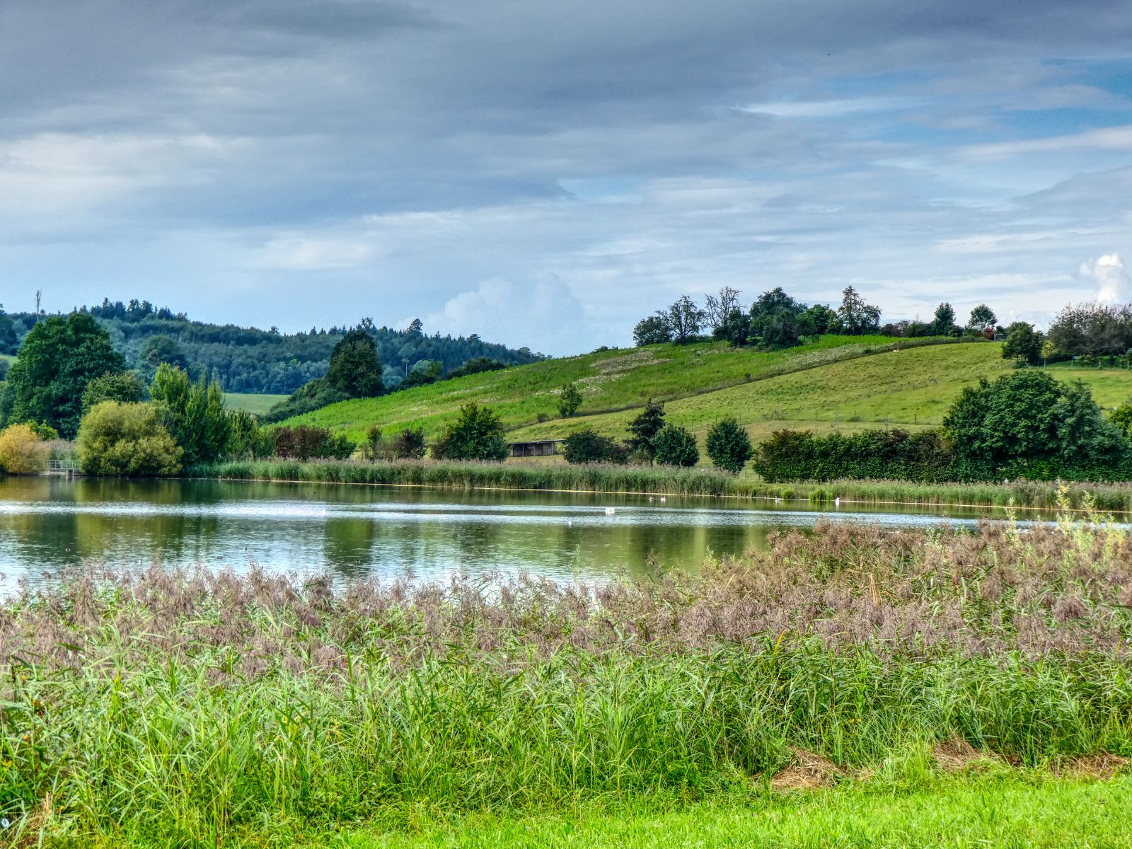 Bifangweiher (bei Mimmenhausen)