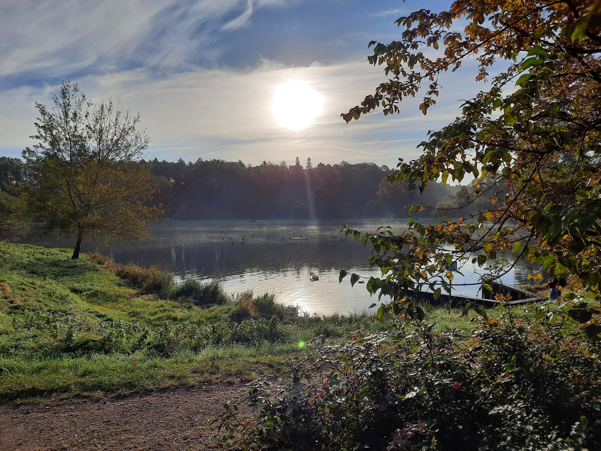 Klostersee Walsrode