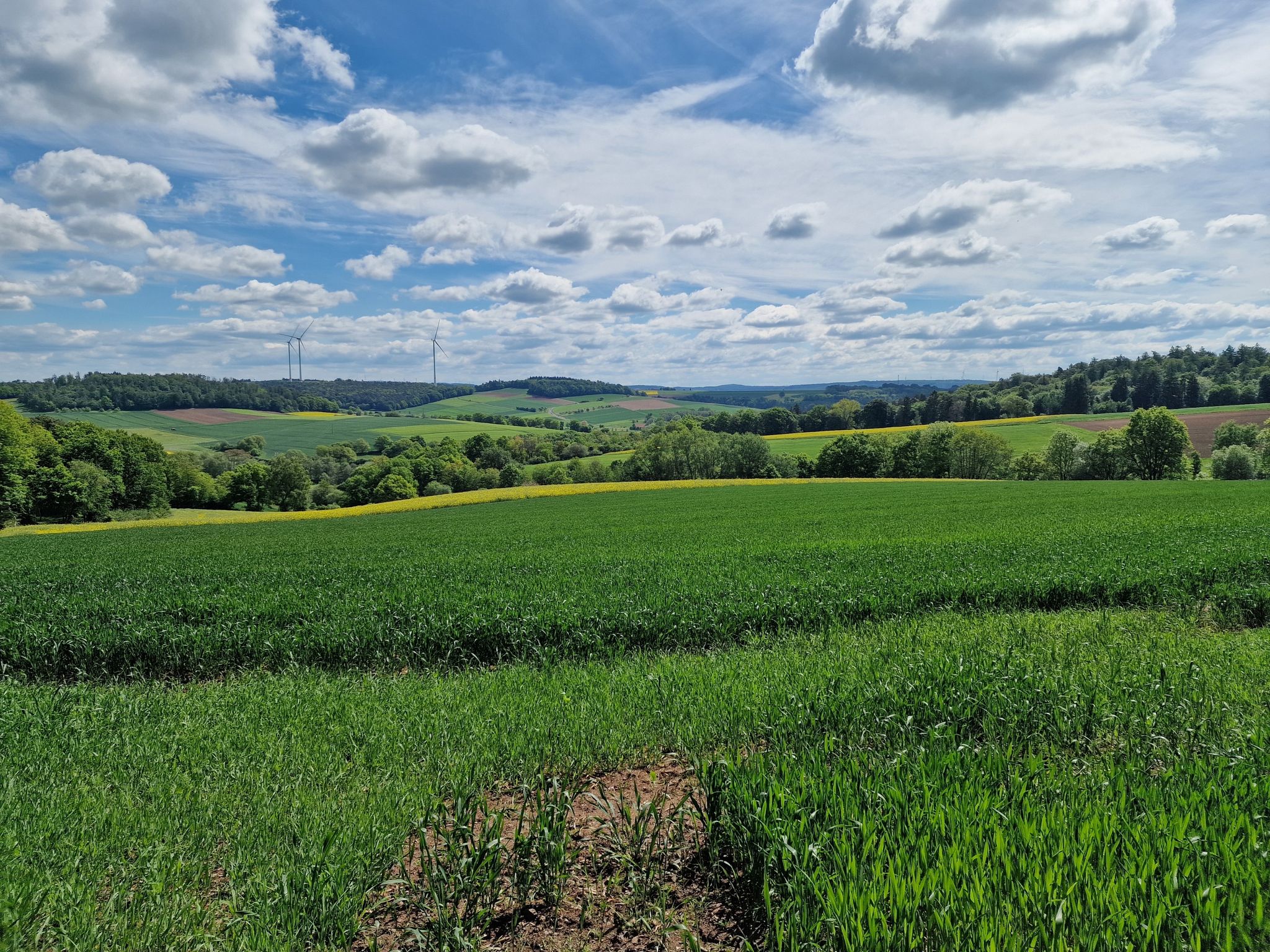 Blick über das Antrifttal