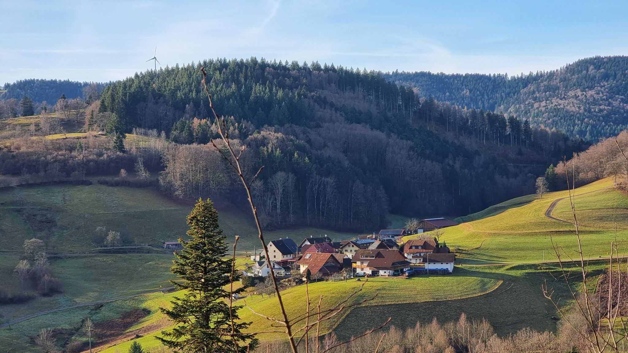 Entenschwand