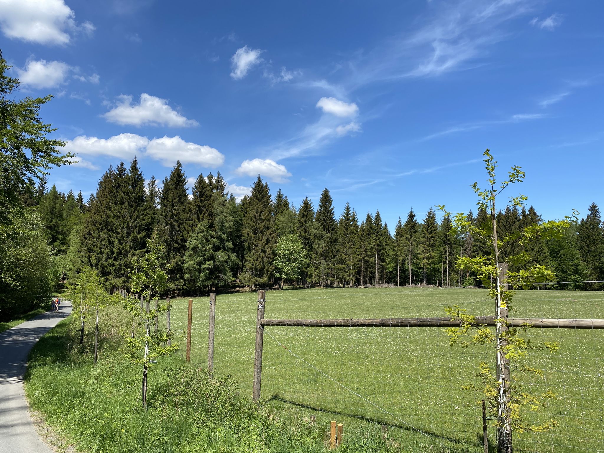 Nach der Pause auf der Hälfte der Strecke
