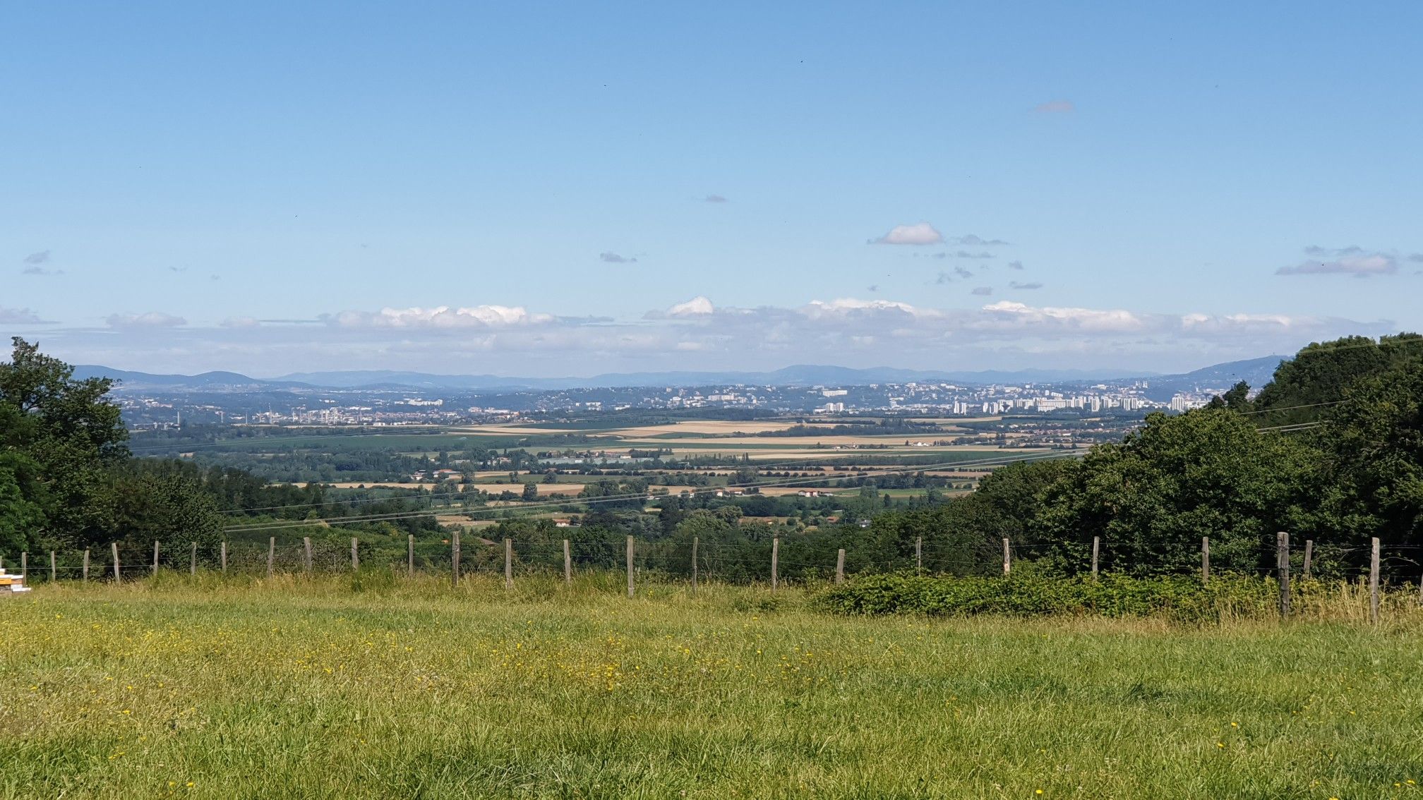bois des Fauries