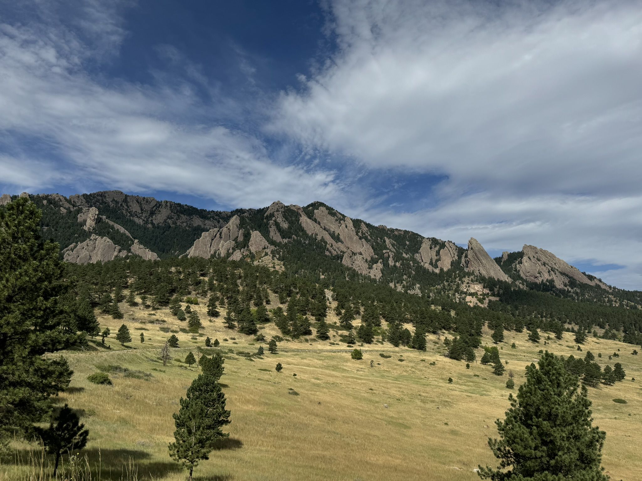 Jagged rocky mountains rise above a forested slope and golden grassy field. - NCAR loop from Table Mesa