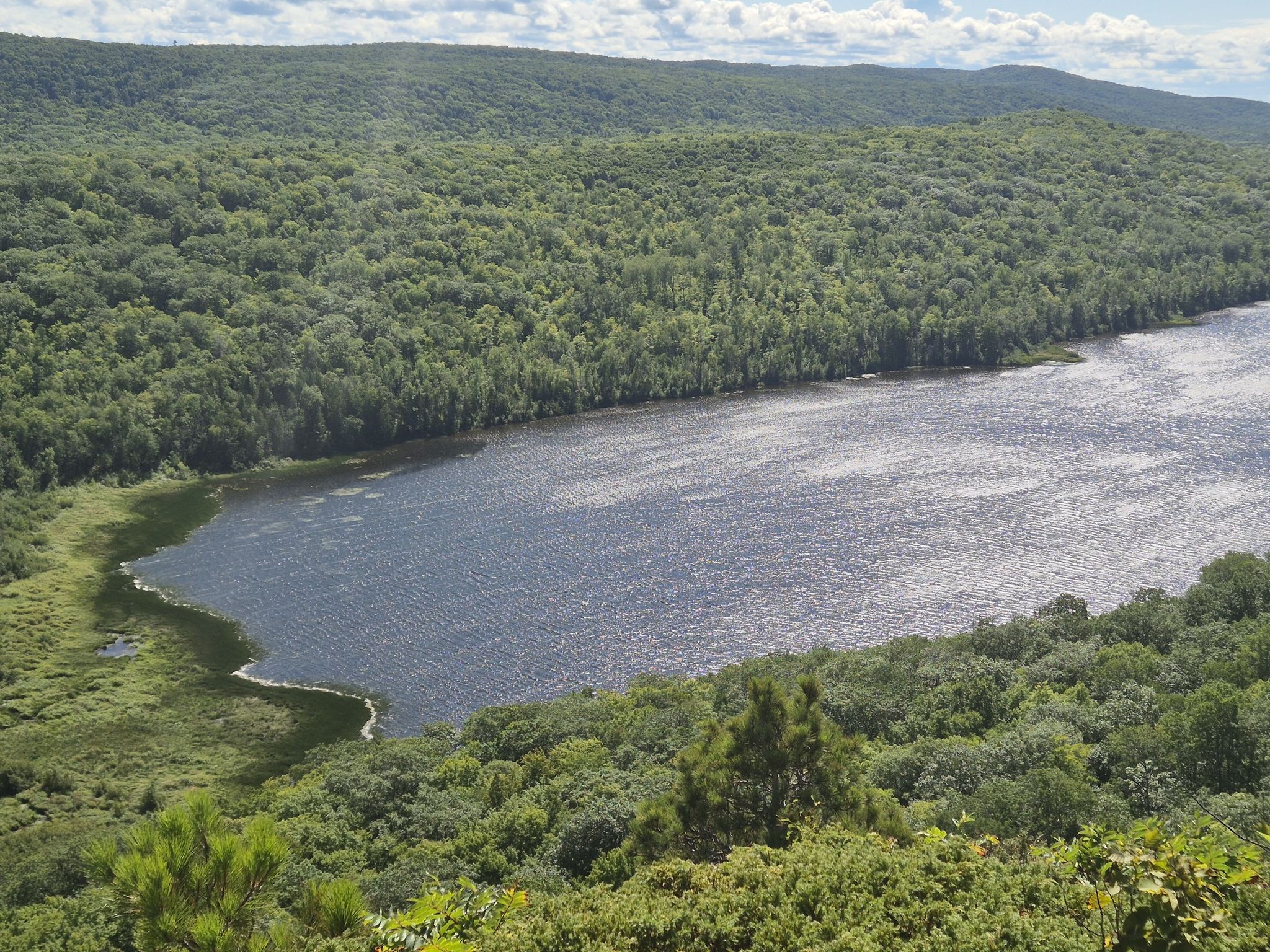 Aerial view of a dark lake surrounded by dense green forest under a cloudy sky. - Escarpment and Government Peak Trail Loop