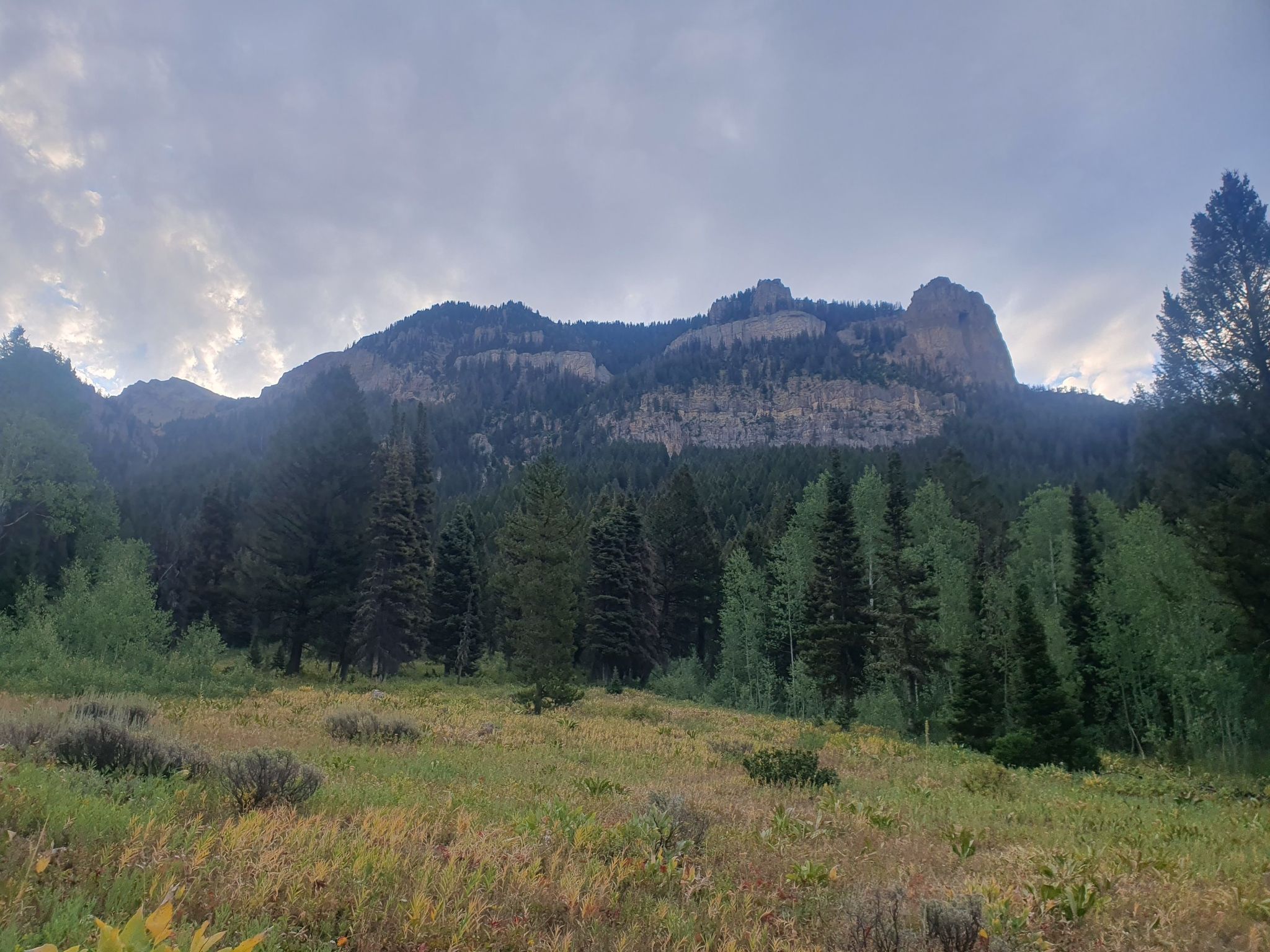 Overcast sky above a rocky mountain, dense forest, and grassy meadow. - Granite Creek Trail