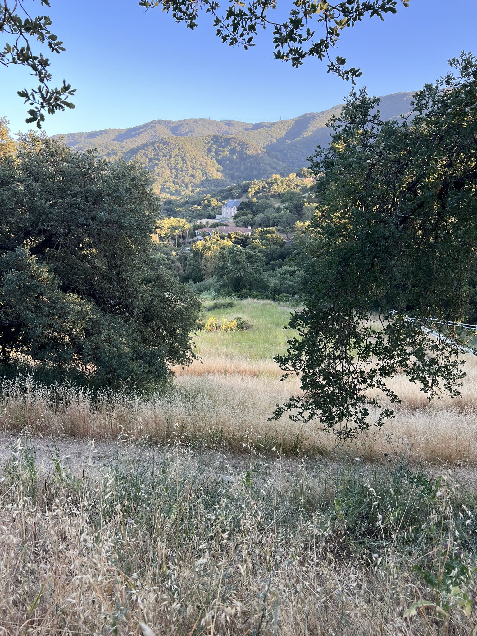 Valley view through trees, showing dry grass, distant mountains, and buildings. - Rocky Ridge and Oak Ridge Trail Loop