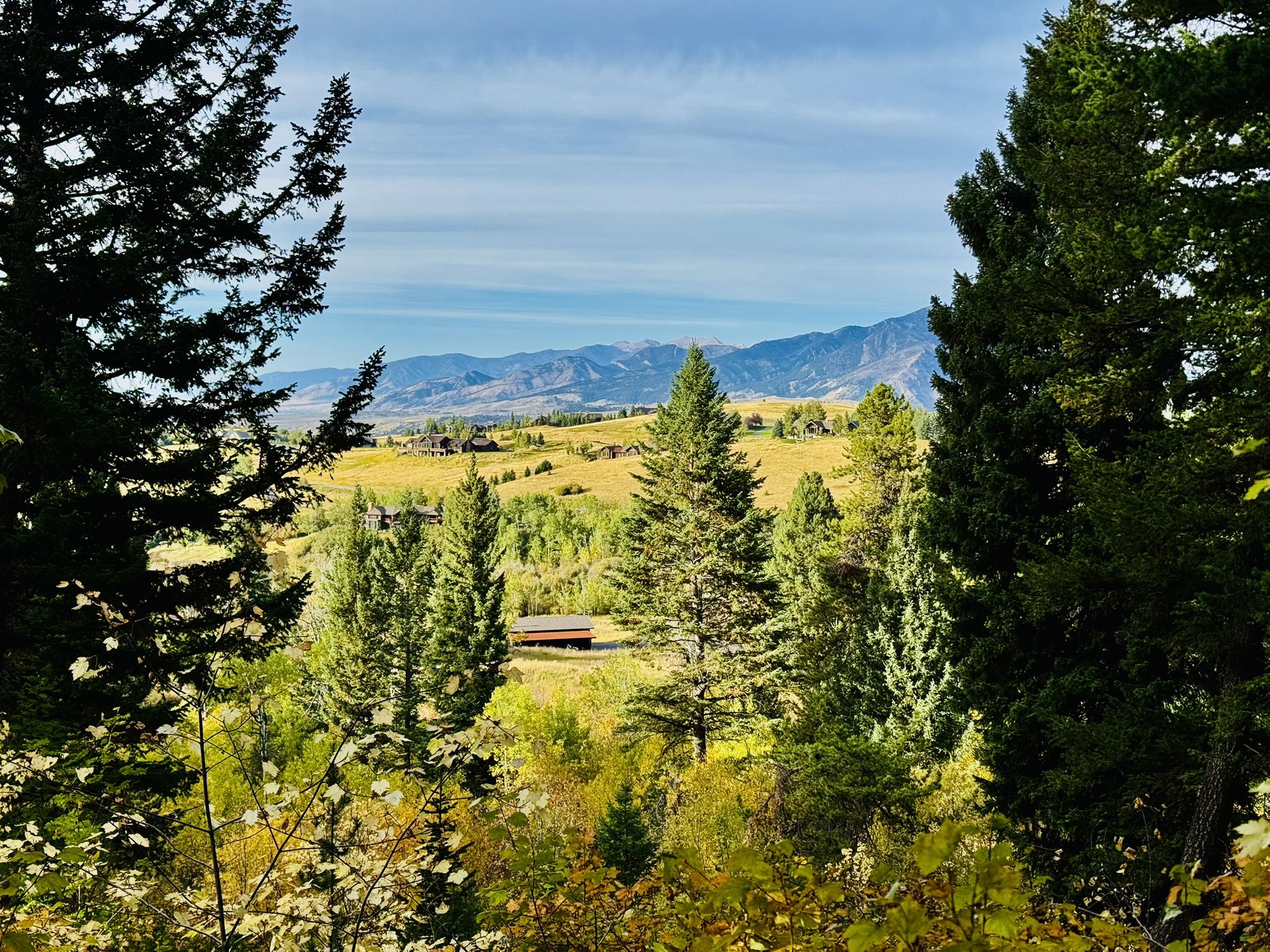 A scenic view of a green valley and distant mountains through pine trees. - Triple Tree Trail – Sourdough Trail Grafs Park loop from Bobcat Stadium