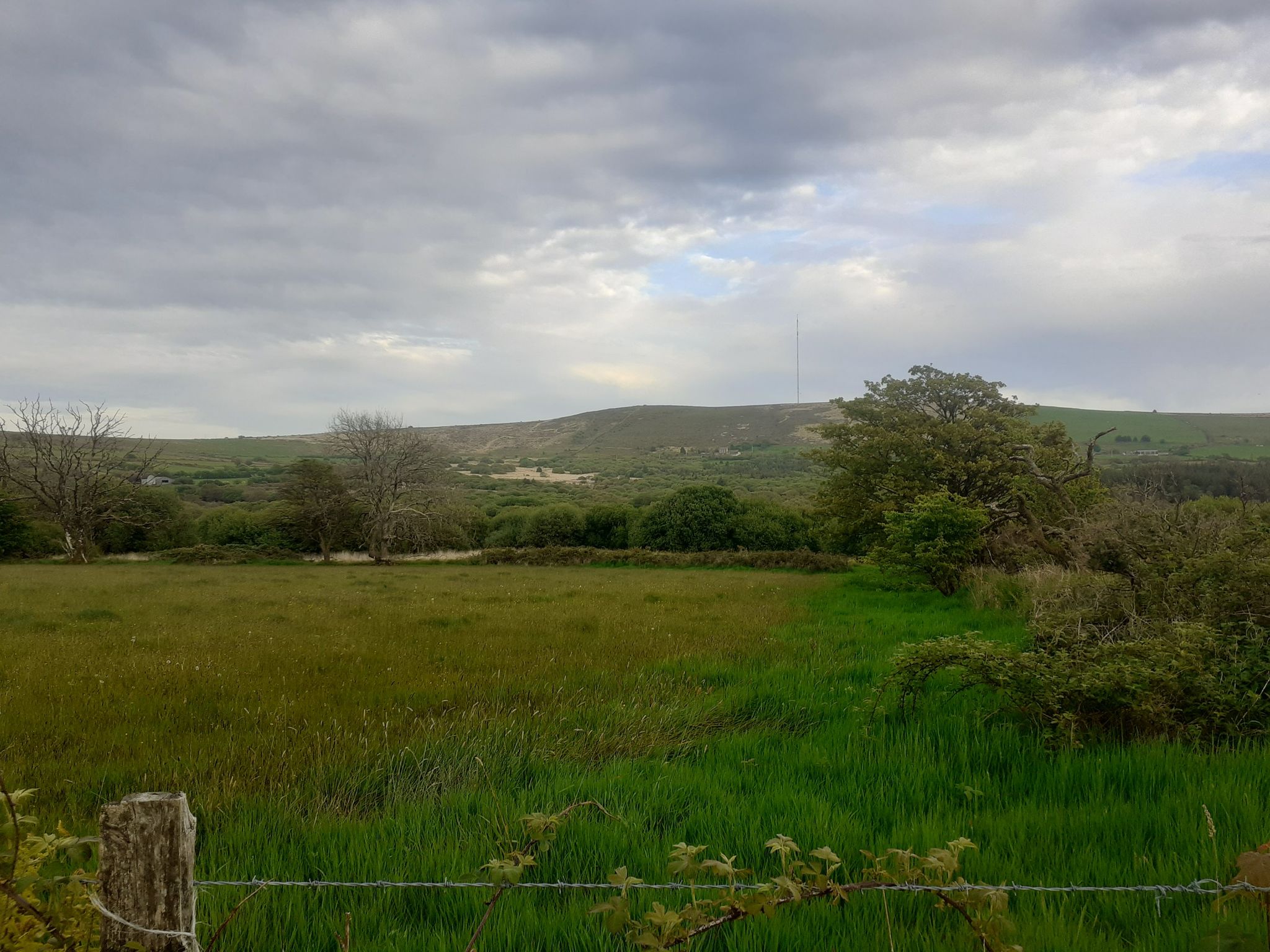 Back along the road