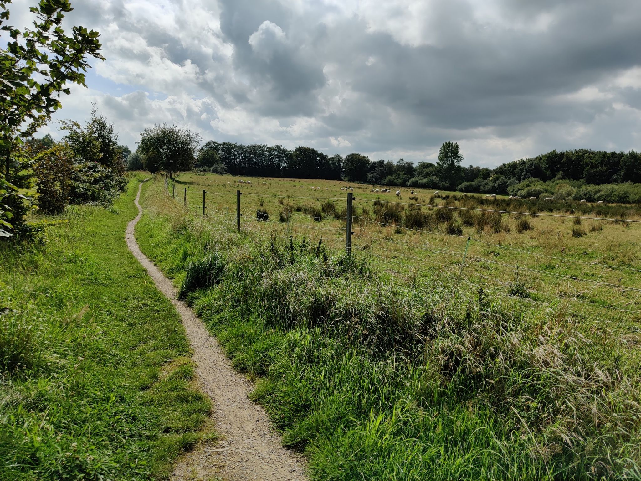 Schöne Gegend und der Weg ist gut befahrbar.