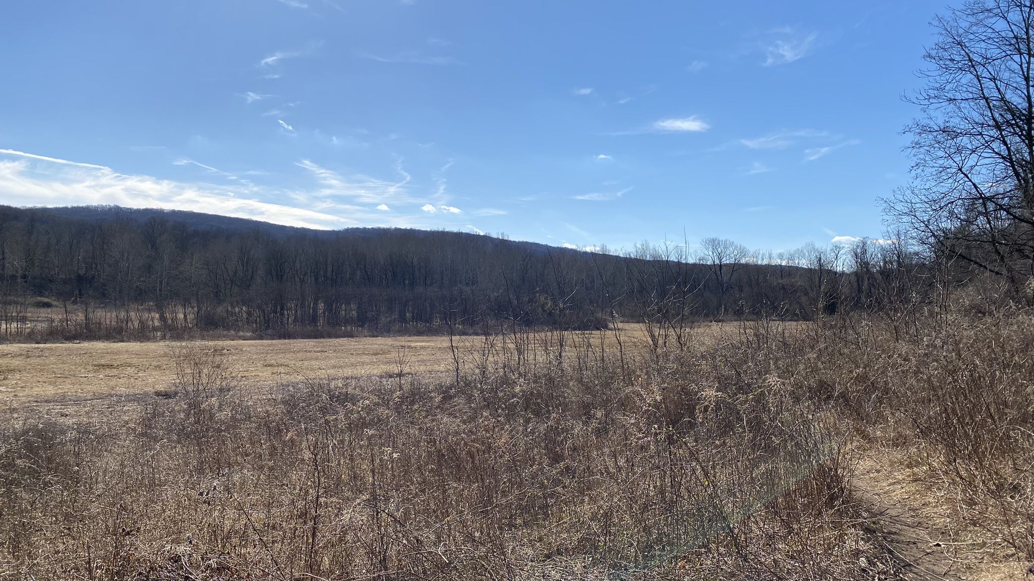 Wide field with dry grass, distant wooded hill under a bright blue sky. - Commissary and Fatlands Trail Loop