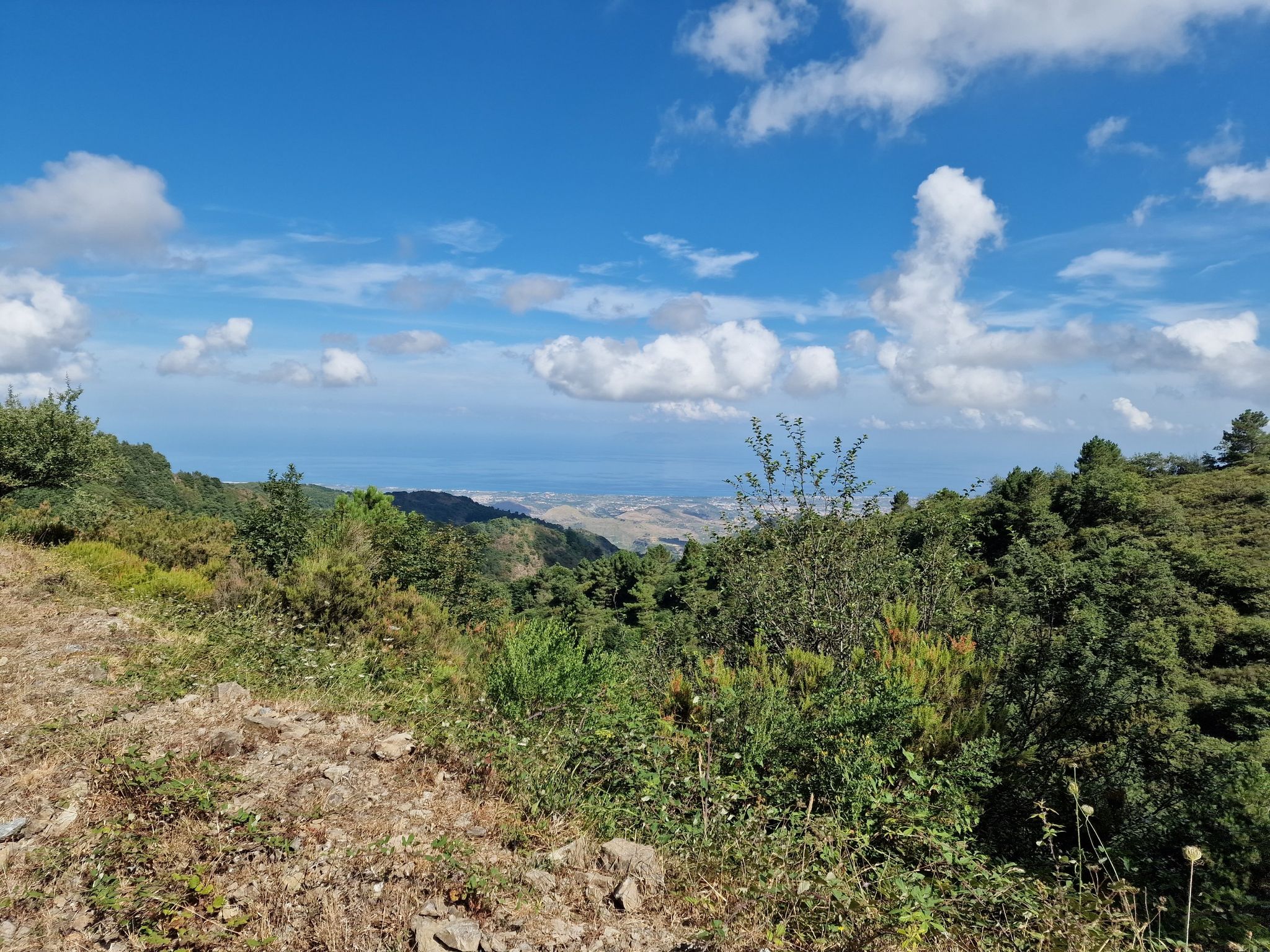 Panorama