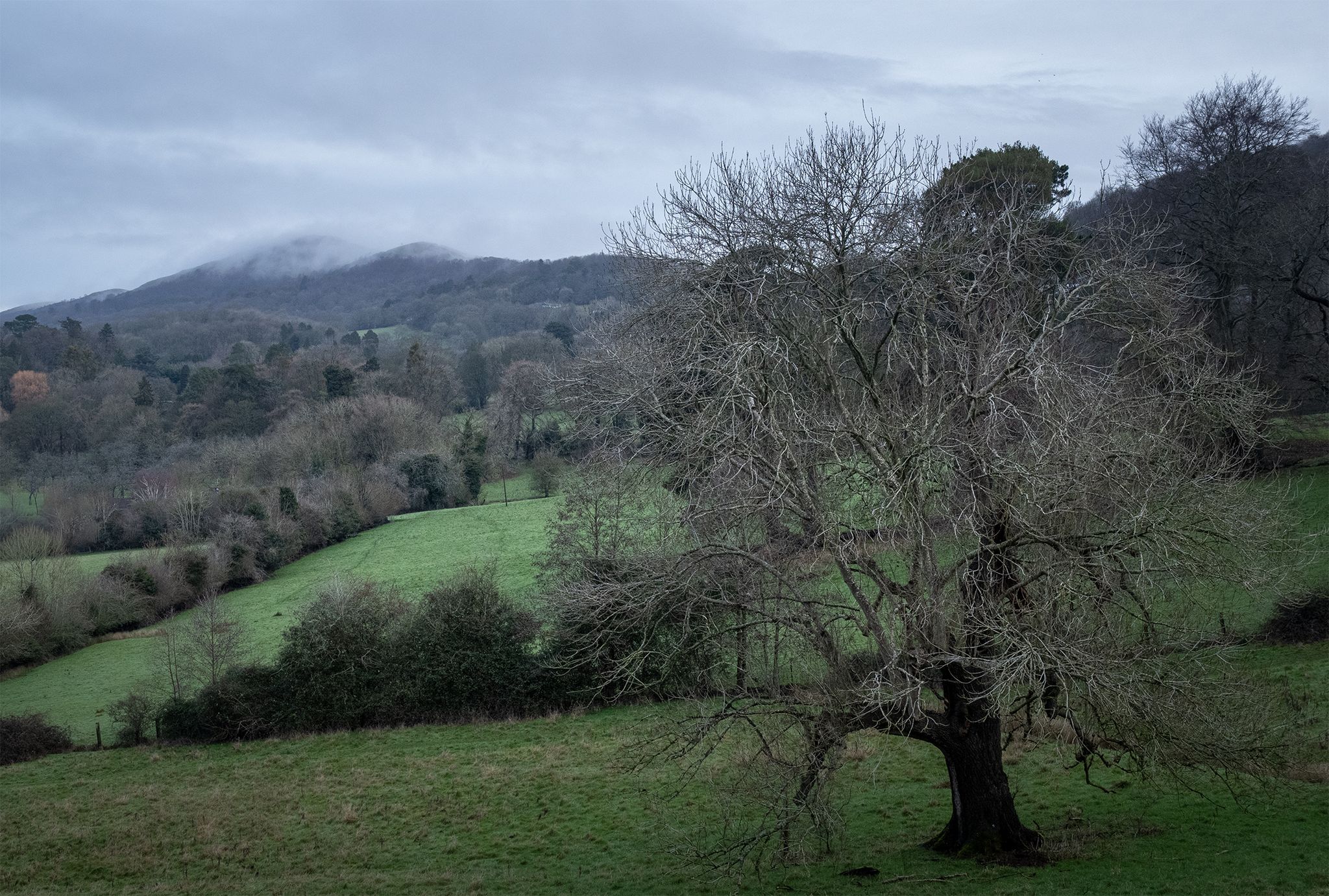 Worcestershire Beacon