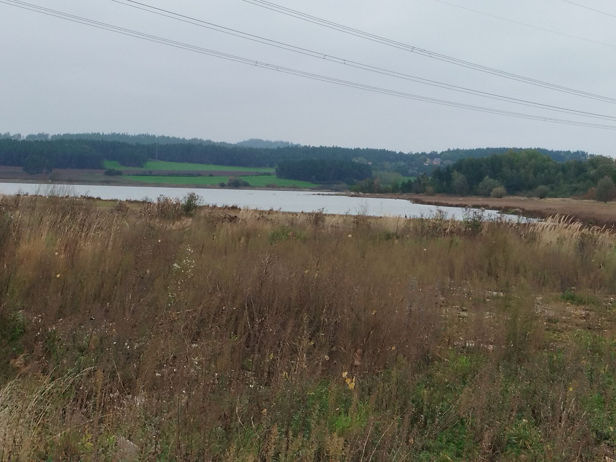 Teichblick