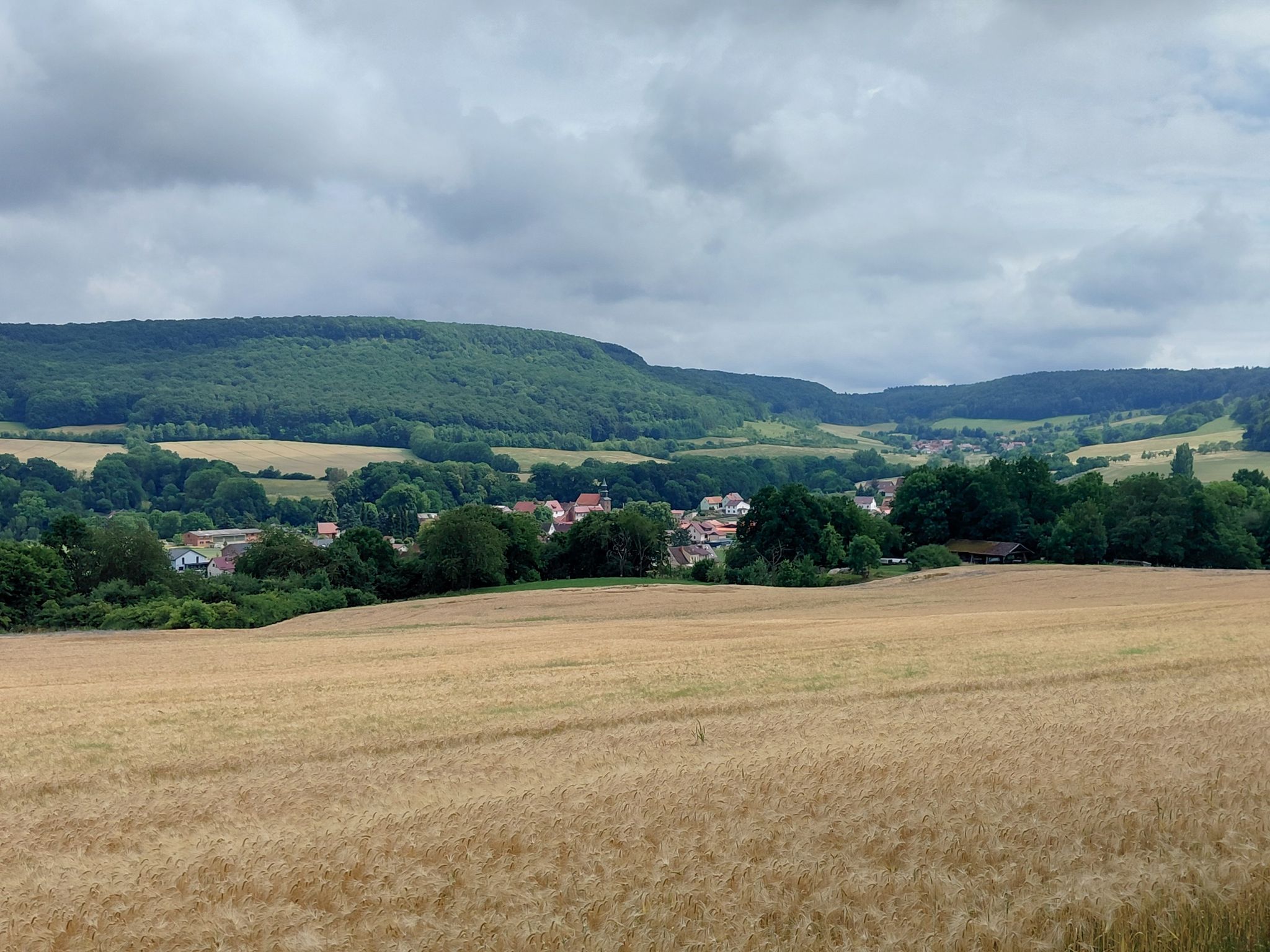Birkenfelde 